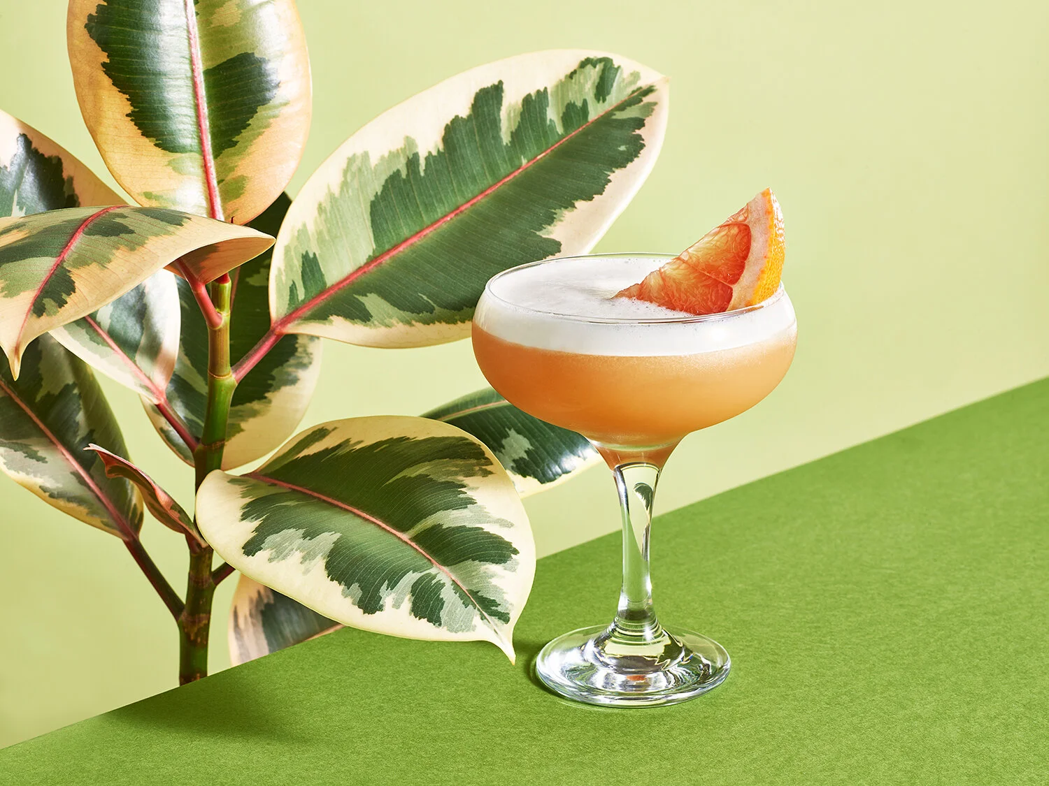 Grapefruit_Sour.jpg