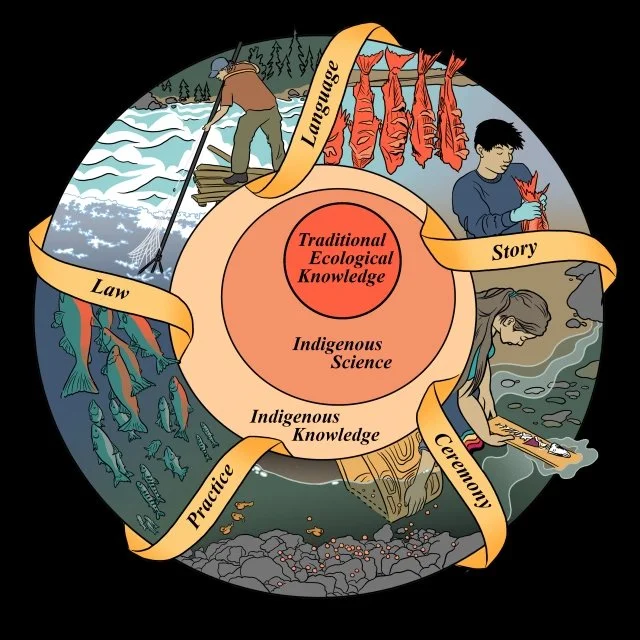 2-final-web-preview copy.jpg