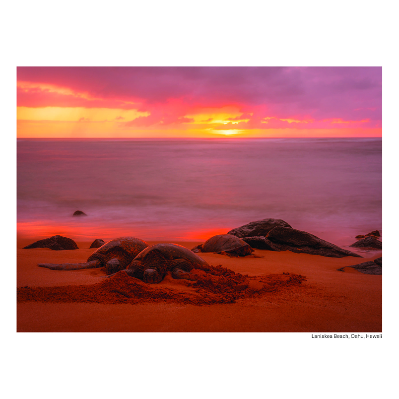 249968A-03 2023 Calendar_v5_Page_14.png