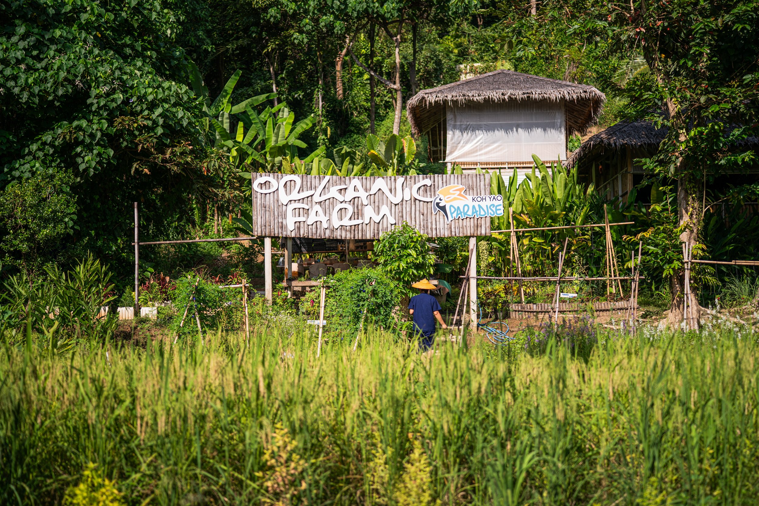 Organic Farm Tour_001.jpg