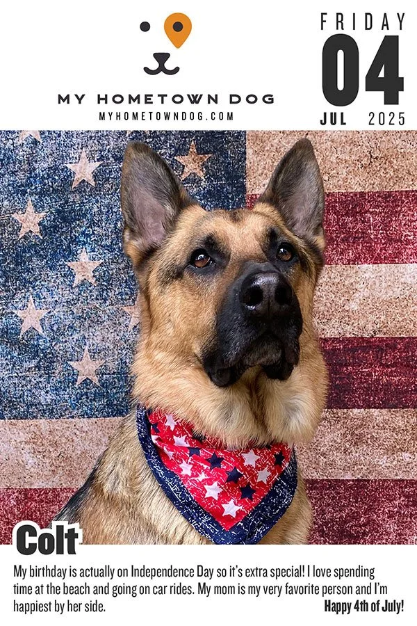 Colt featured in the My Hometown Dog 2025 calendar