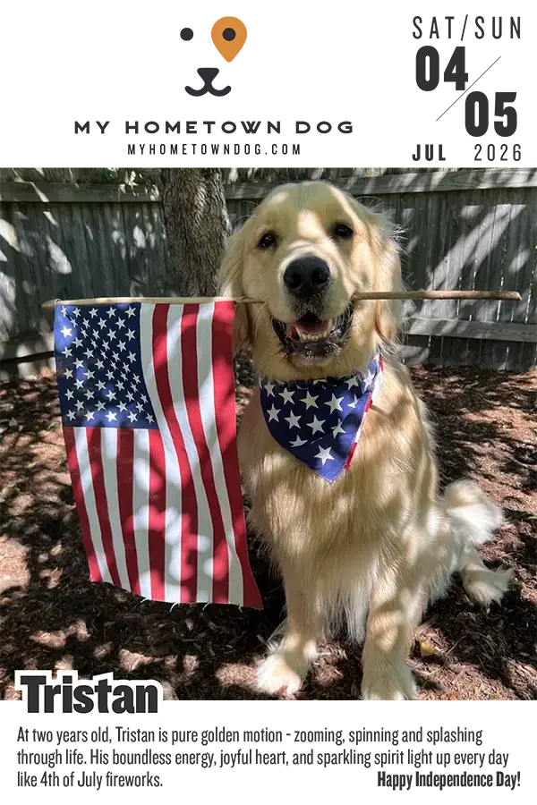 Tristan featured in the My Hometown Dog 2026 calendar