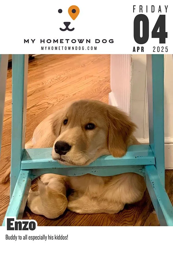 Enzo featured in the My Hometown Dog 2025 calendar