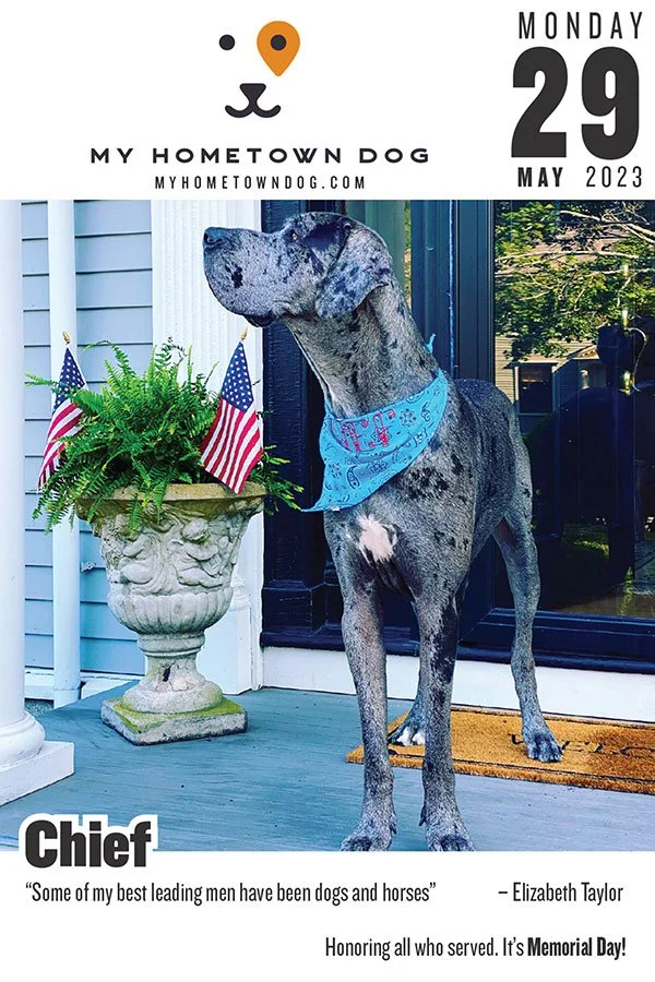 Chief featured in the My Hometown Dog 2023 calendar