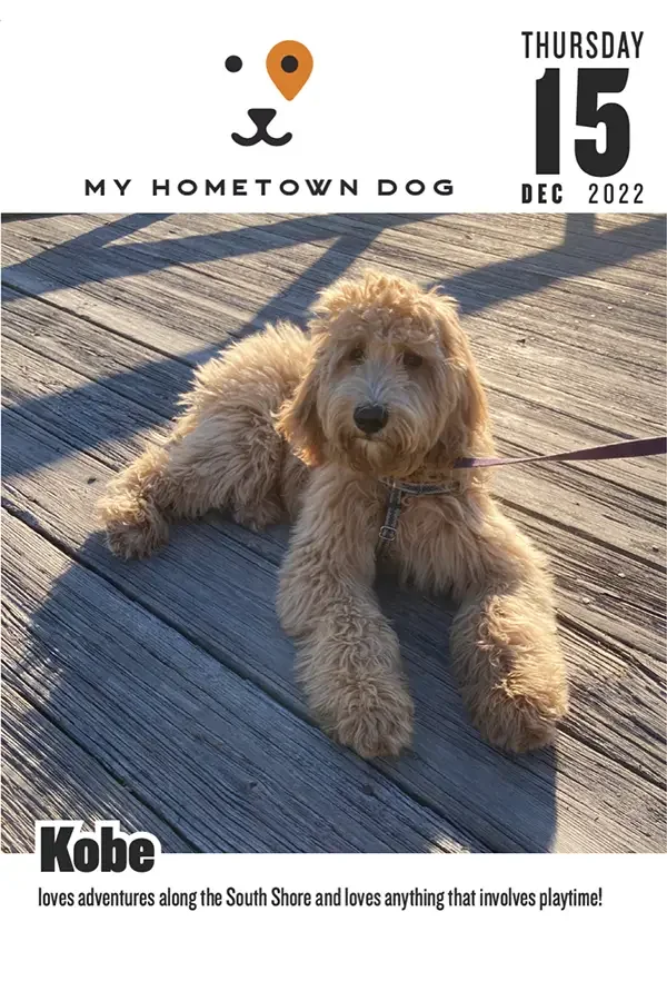 Kobe featured in the My Hometown Dog 2022 calendar