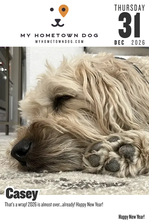 Casey featured in the My Hometown Dog 2026 calendar