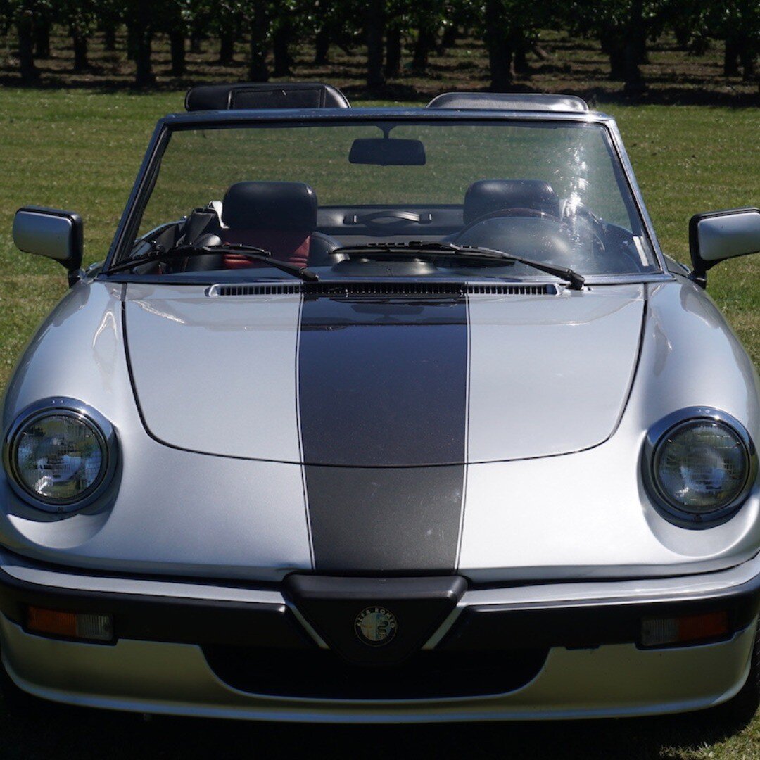 Beautiful 1986 Alfa Romeo Spider Quadrifoglio. The car is powered by an in-line four-cylinder 2.0-liter engine producing 115 hp. Power is sent to the rear-wheel drive via a five-speed manual transmission. With belgian registration. 
more info 👉link 