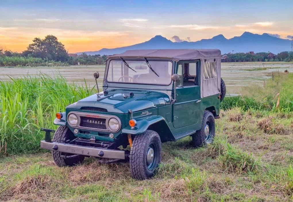 20251014_092147000_iOS 1.jpg