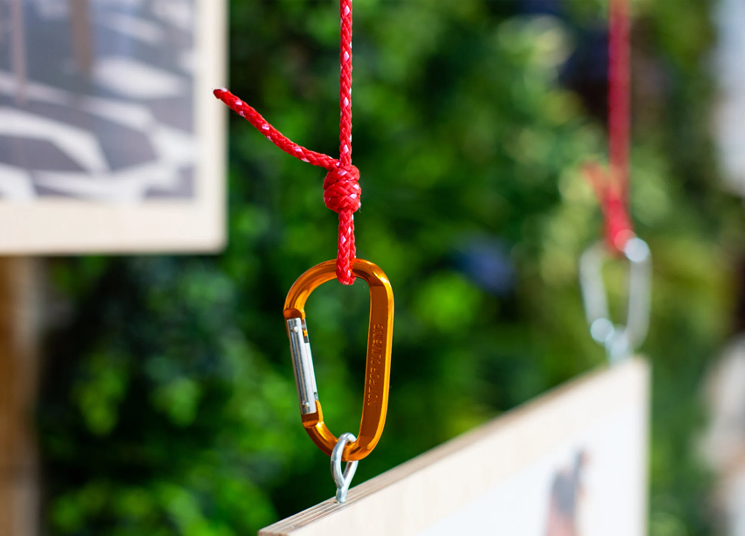 Trailside Interior Wall Graphics Carabiner