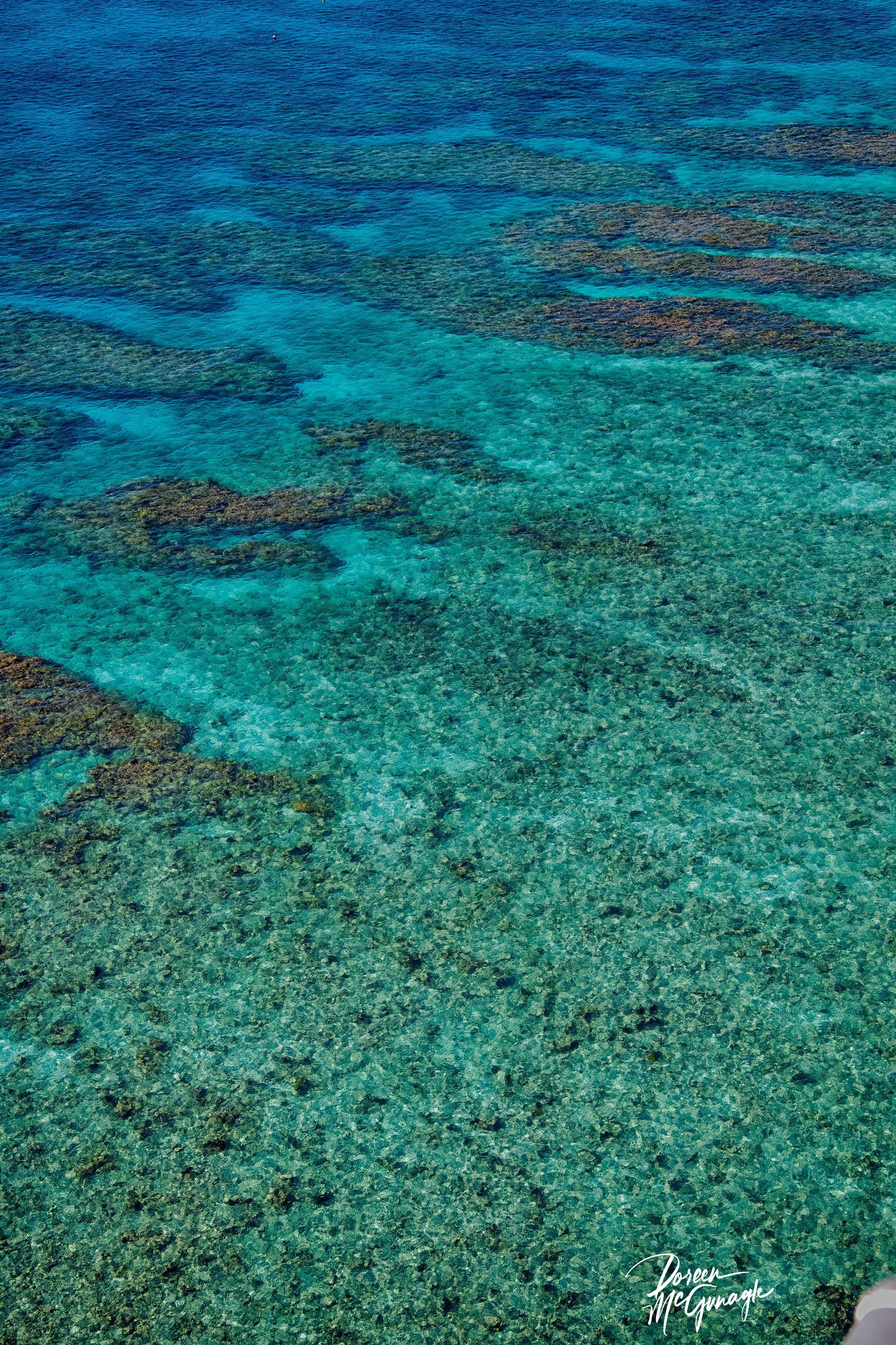 Celestial Depths of Looe Key — Limited Edition Fine Art Nature Photography