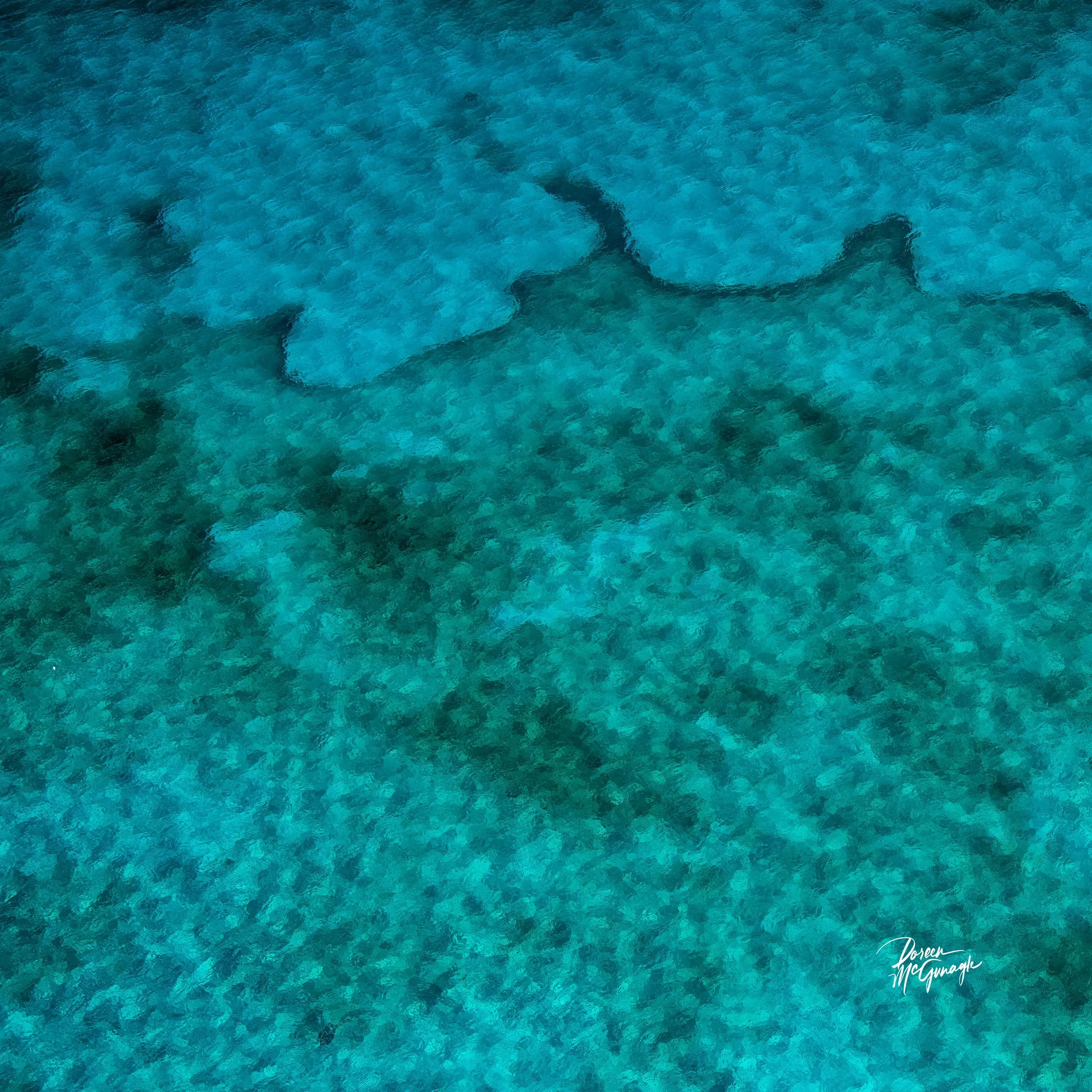 LKFL_3662_30 c2026 1-1.jpg