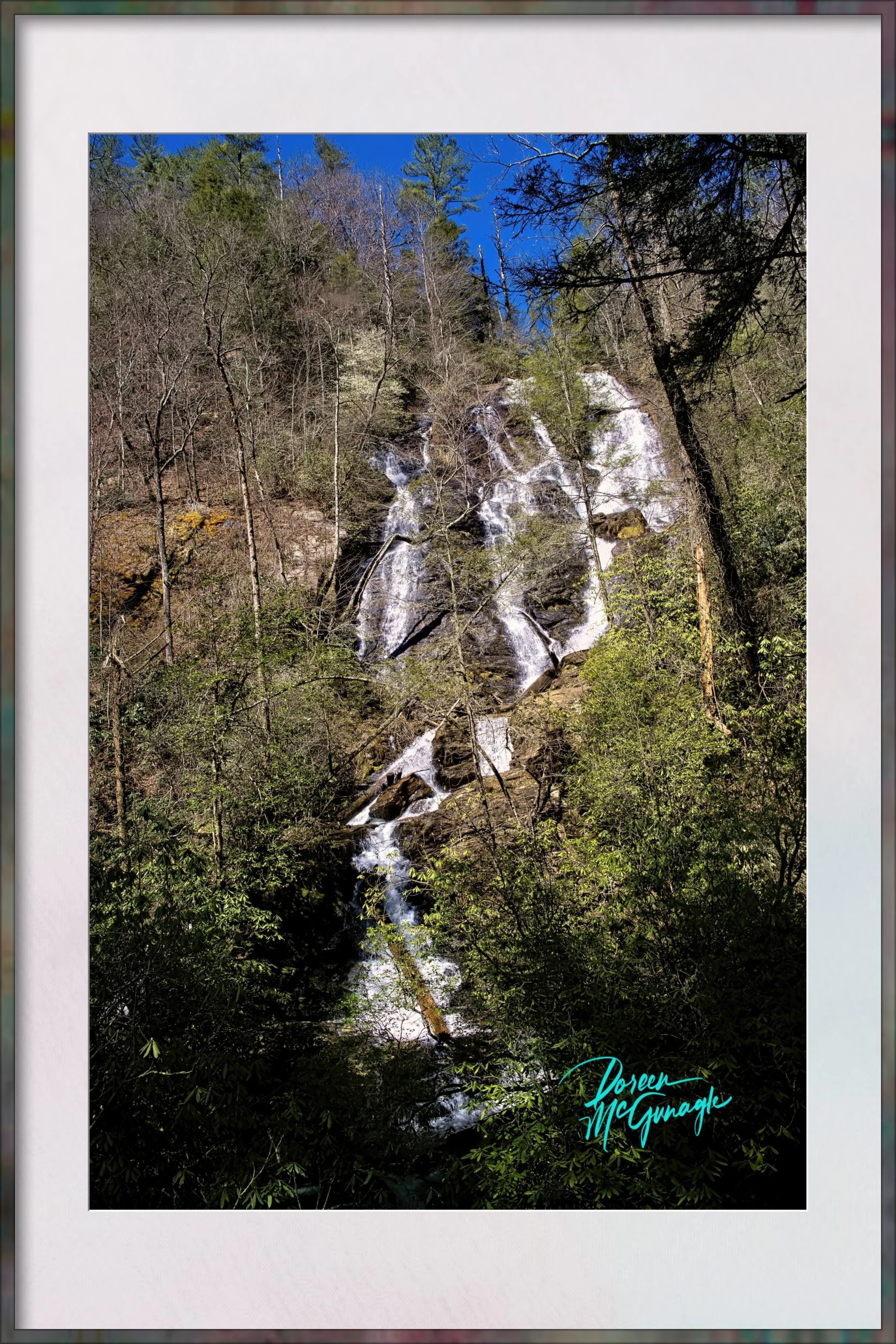 Chattachoochee National Forest 17 resized Framed.jpg