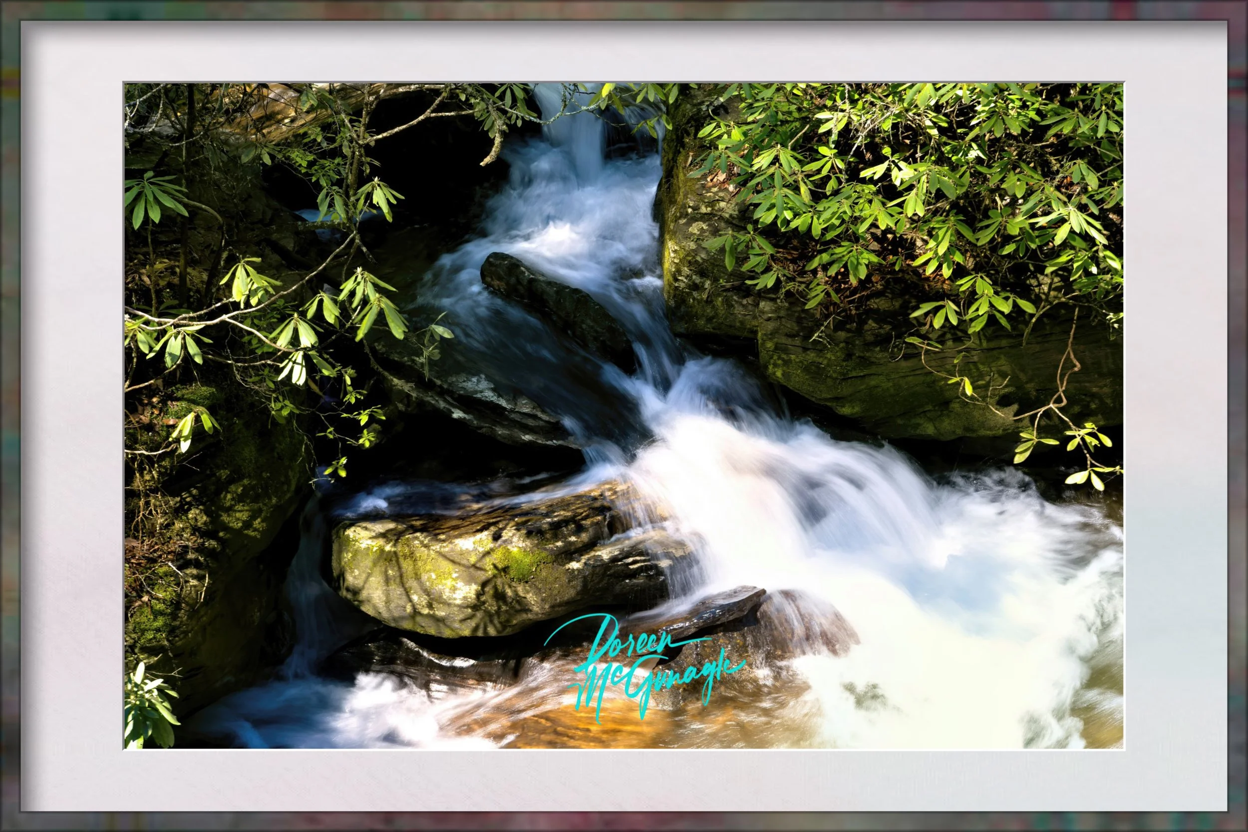 Chattachoochee National Forest 18 resized Framed.jpg