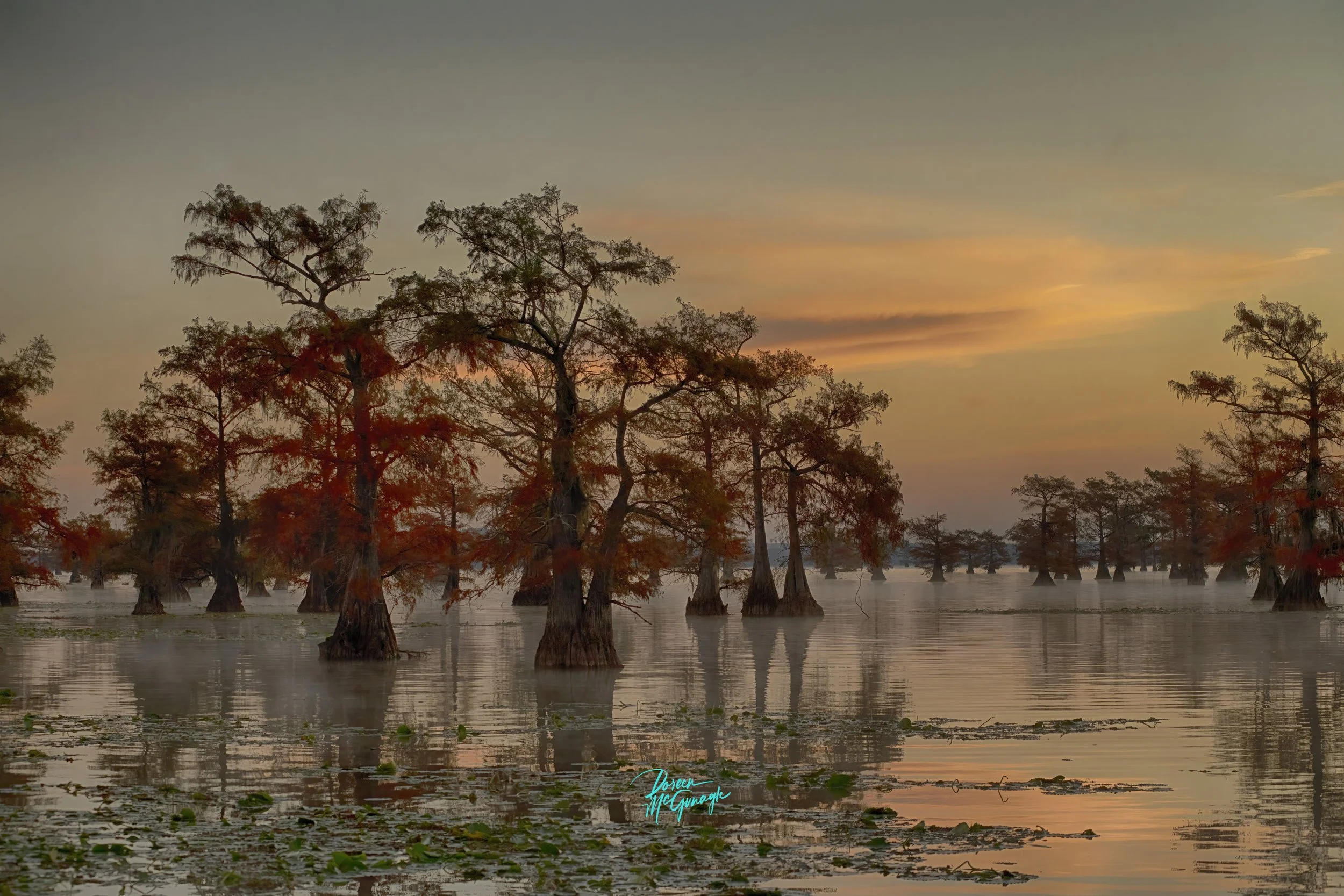 Doreen McGunagle Caddo Lake 5678 48 Achival 40x50 c2022.jpg