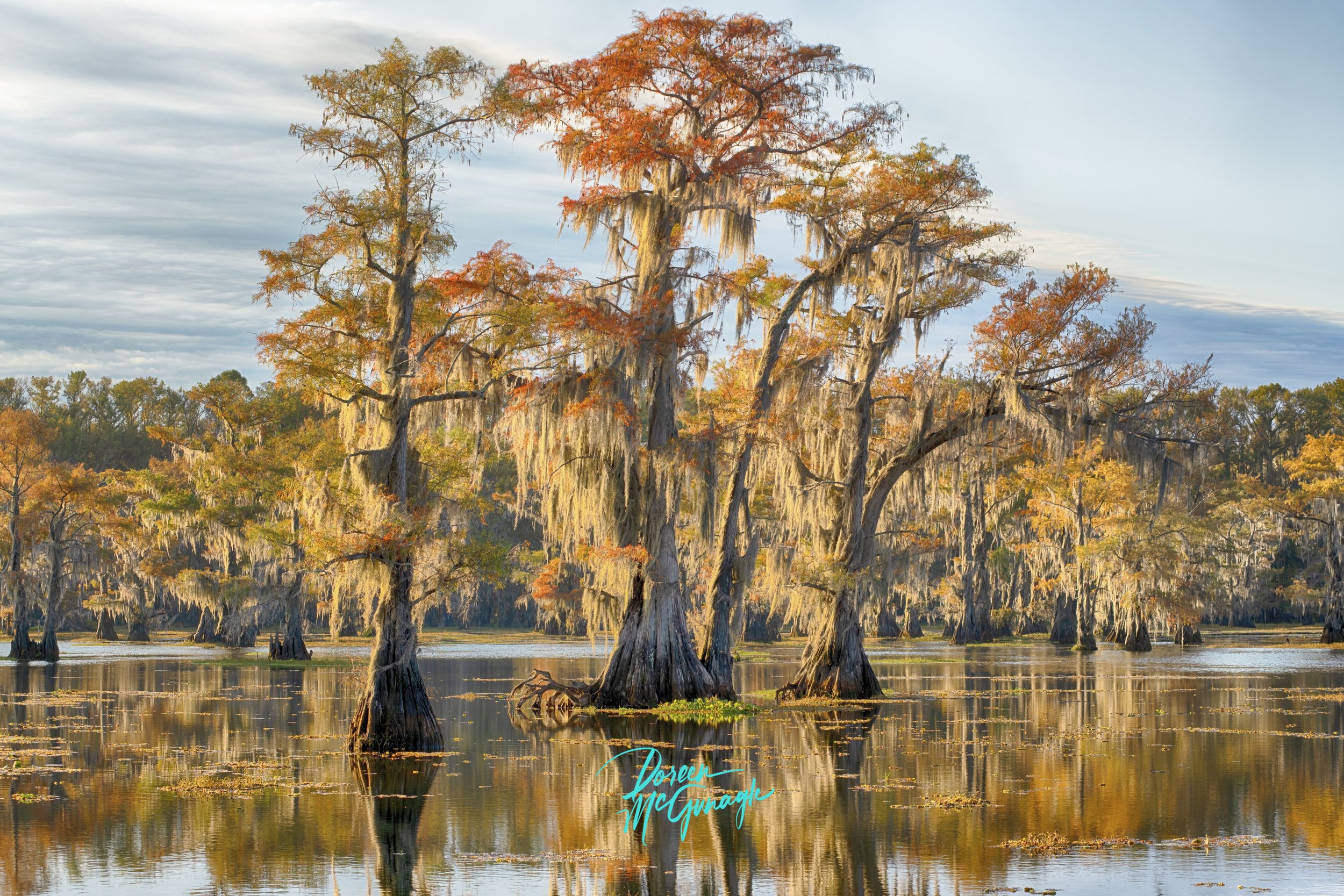 Doreen McGunagle Caddo Lake 5496 75 Arcylic 40x50 c2022.jpg