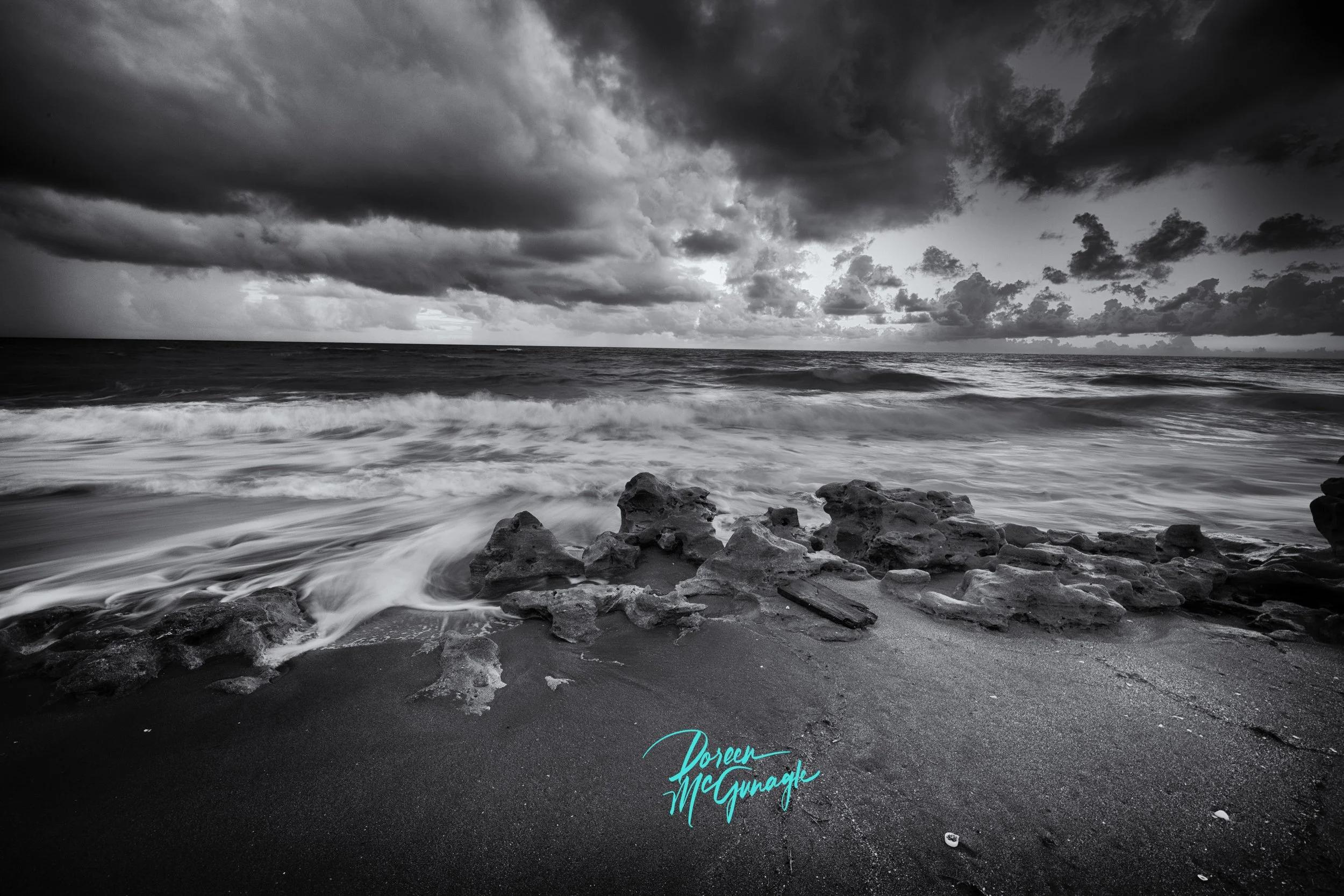 Doreen McGunagle Coral Cove 5421 18 BW  Archival 40x50 c2022.jpg