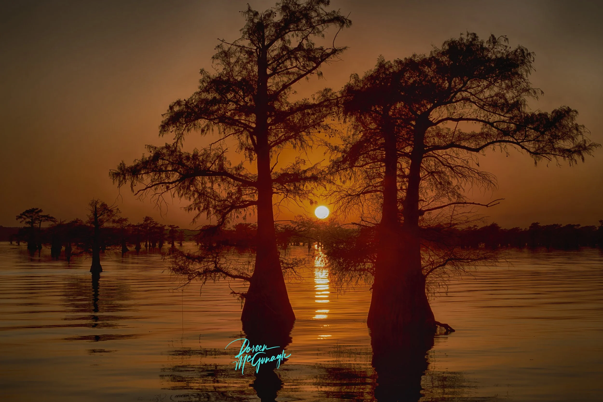 Doreen McGunagle Caddo Lake 5869 63 Arcylic 40x50 c2022.jpg