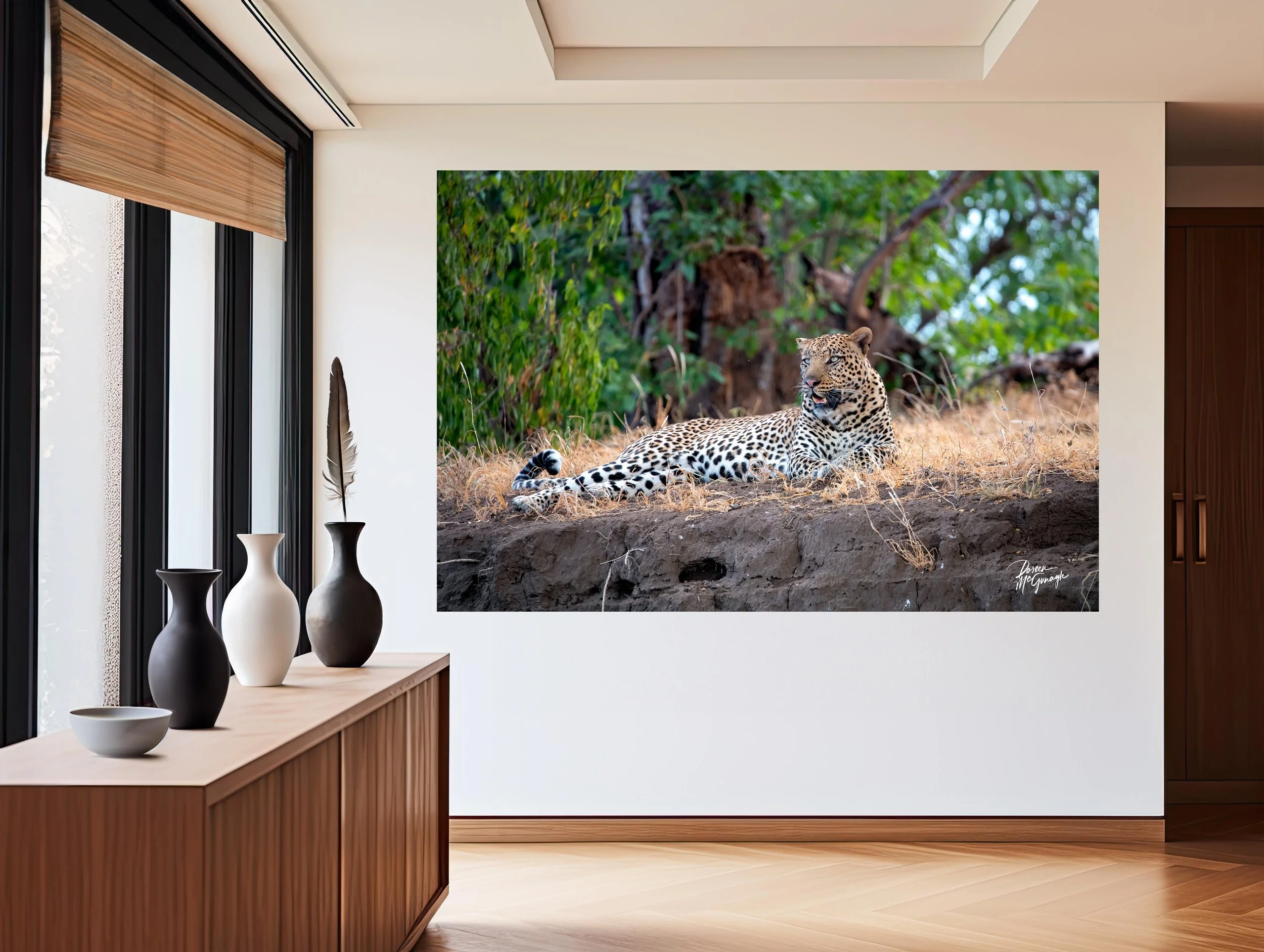 Botswana_1449_55 c2024 mockup entry.jpg