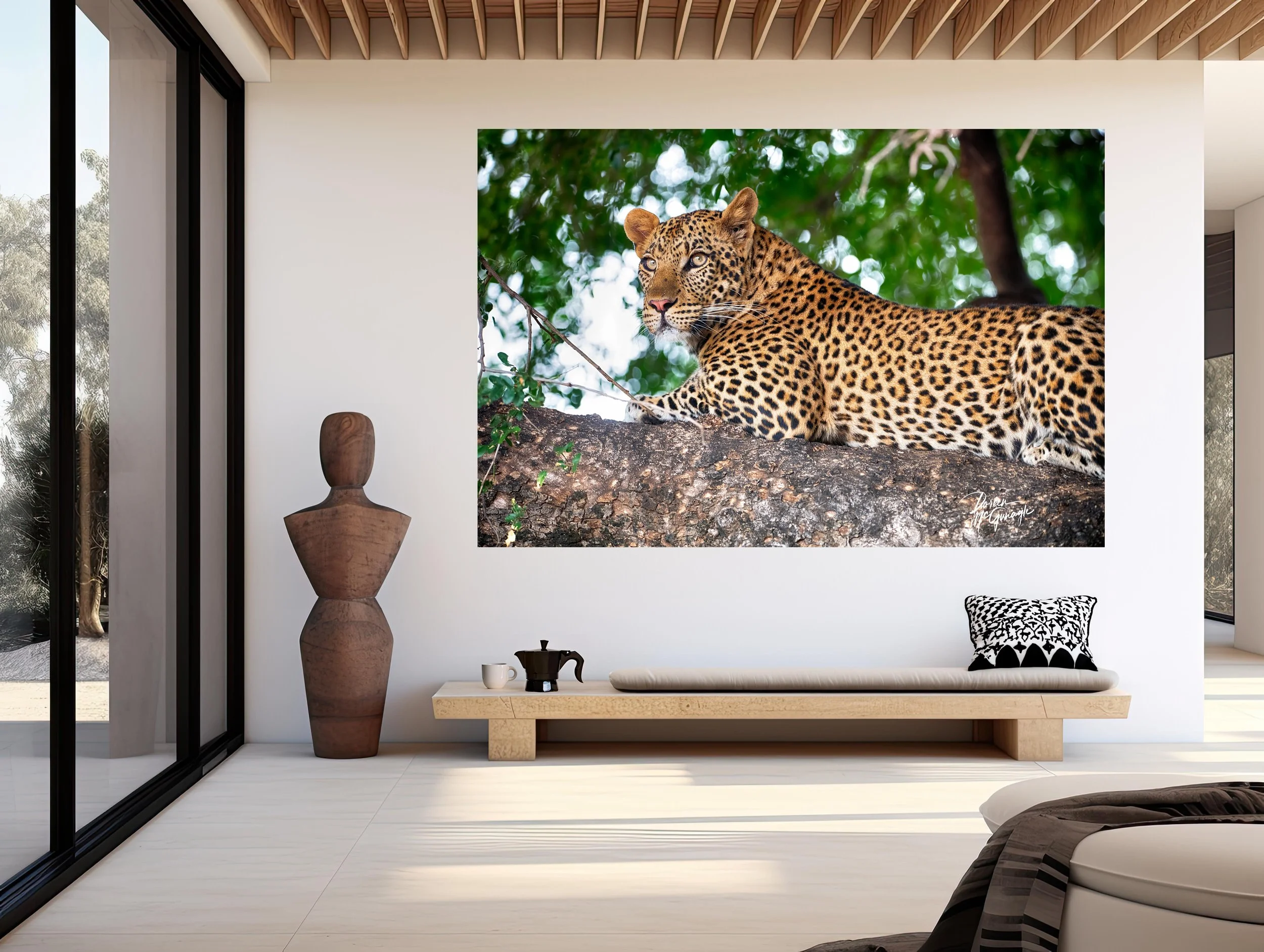 Botswana_0850_22 c2024 mockup entry wall.jpg