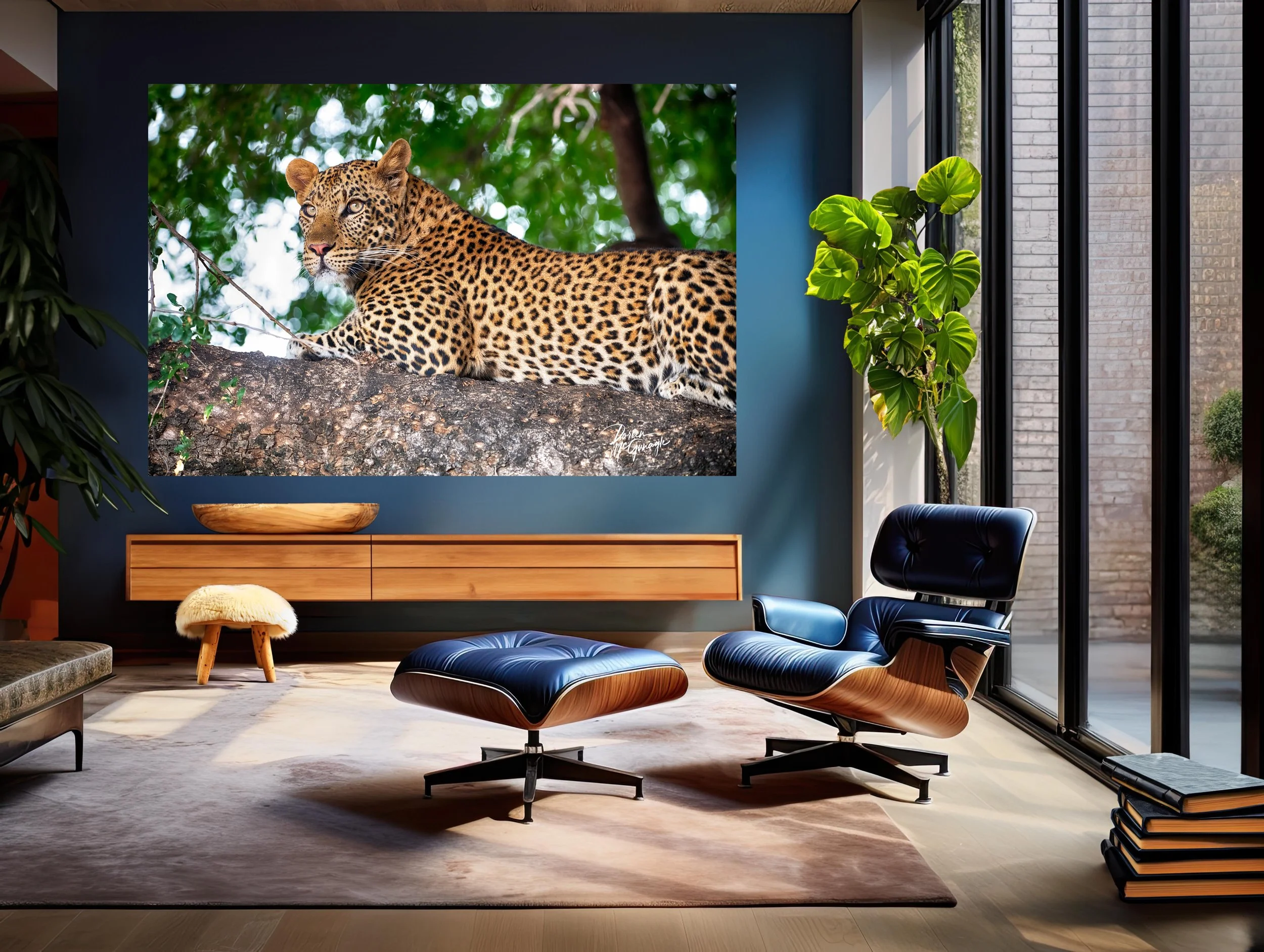 Botswana_0850_22 c2024 mockup office.jpg