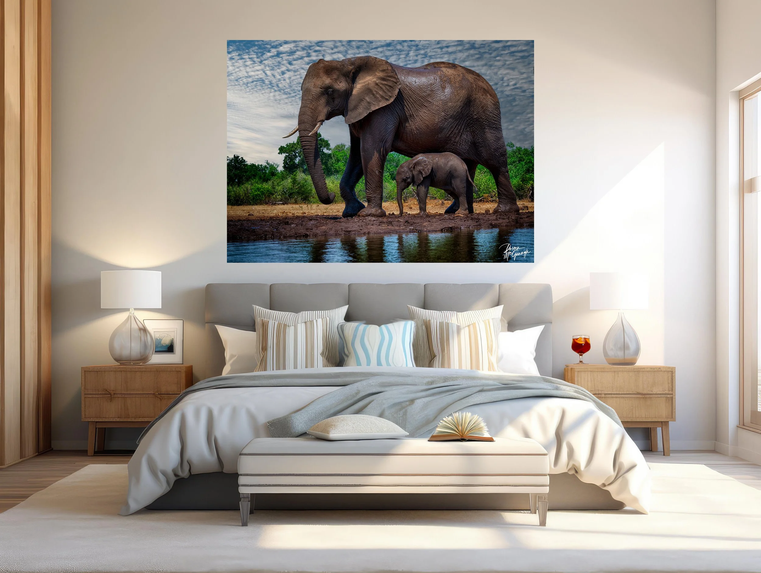 Behind the Lens: The Africa Collection — Fine Art Photography for the Collector