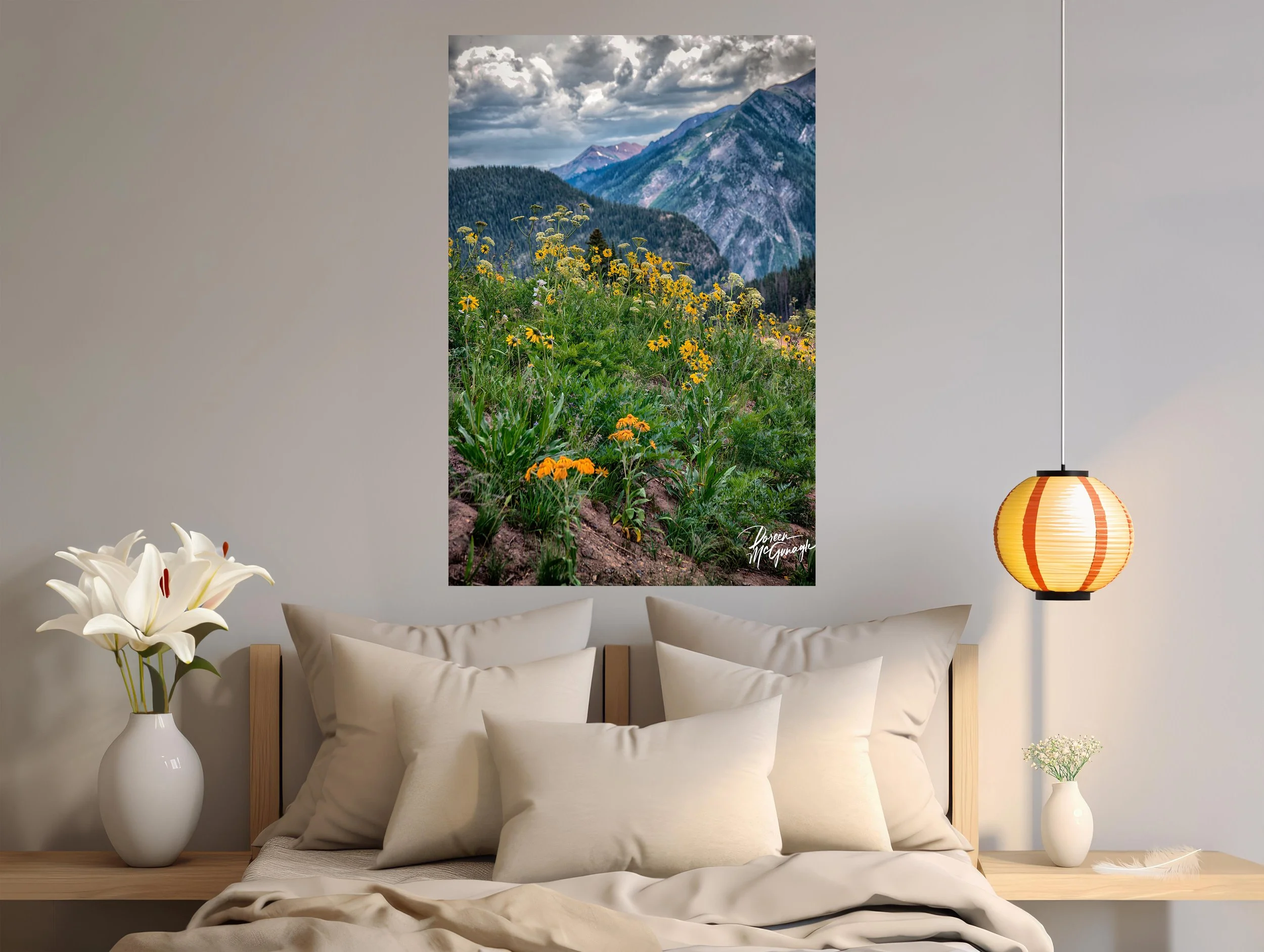 Why Conservation Photography Matters in Fine Art Today