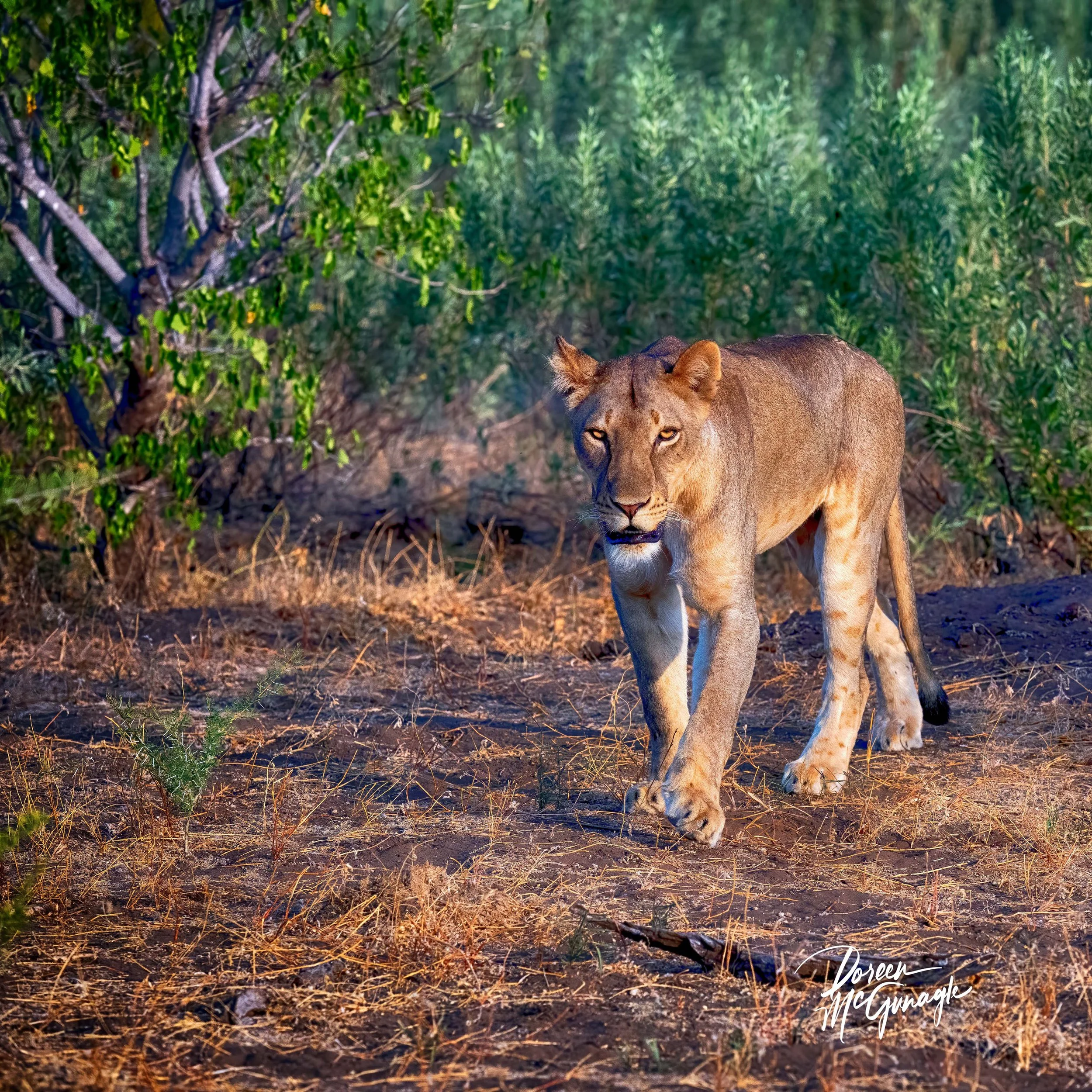 Artist of Palm Beach County Member's Exhibit