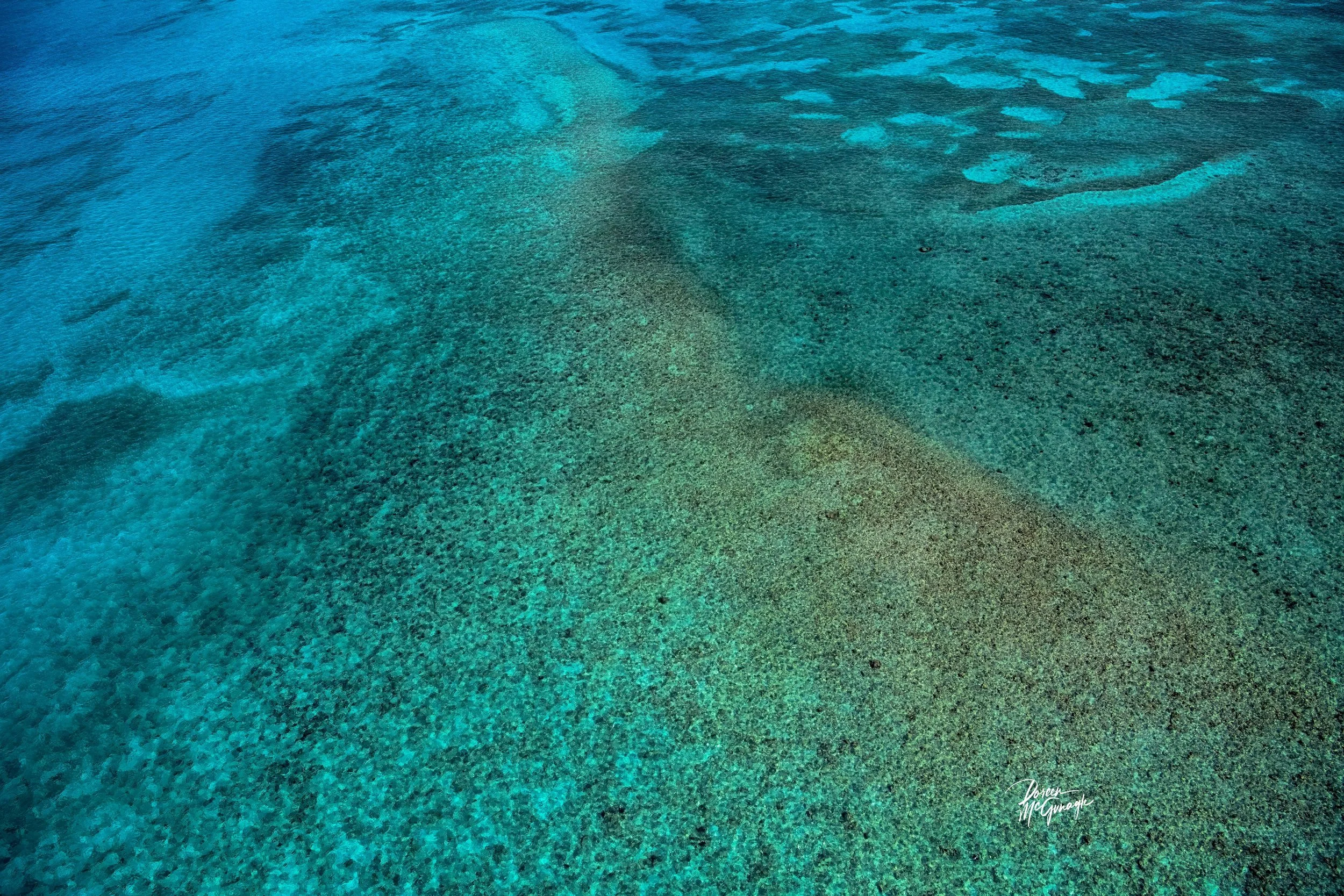 Shimmering Depths of the Sanctuary — Limited Edition Fine Art Nature Photography