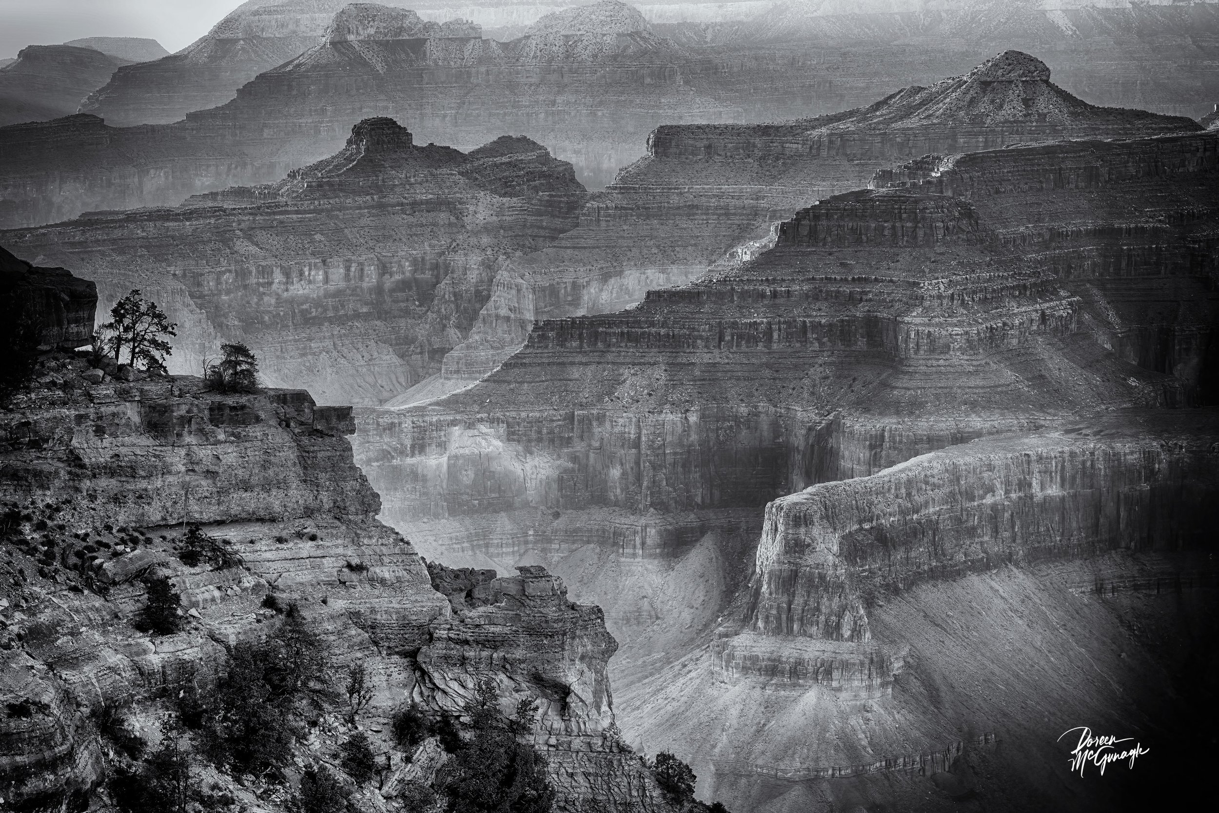 AZ_0109_118BW GCNP c2025.jpg