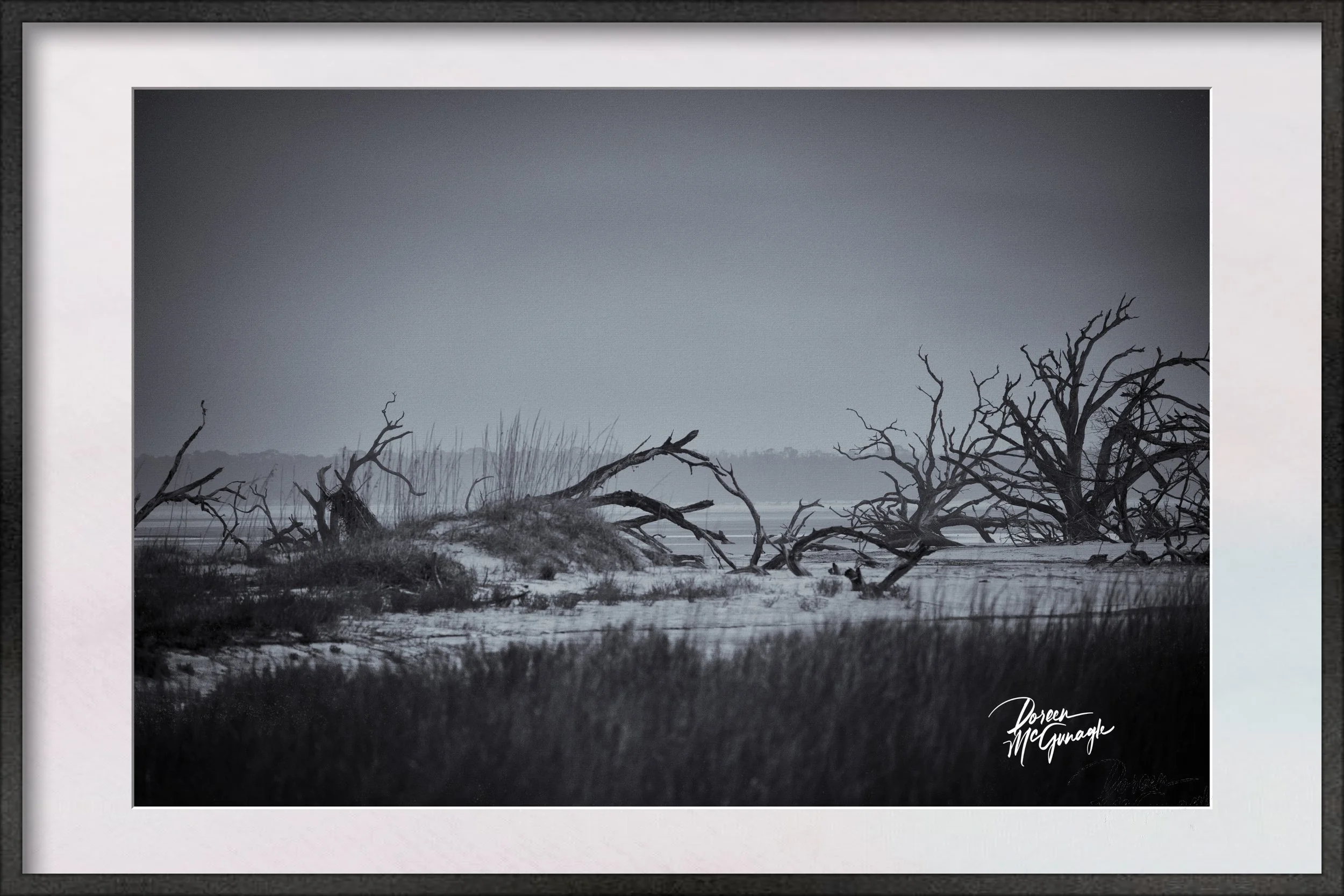 OSSA_6609_14 BW c2025 framed.jpg