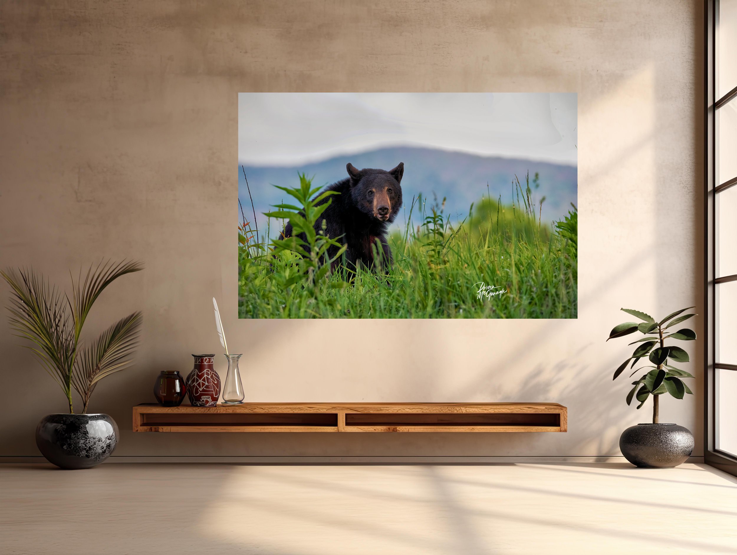 GSMNP_4893_14 c2026 mocked up entry.jpg