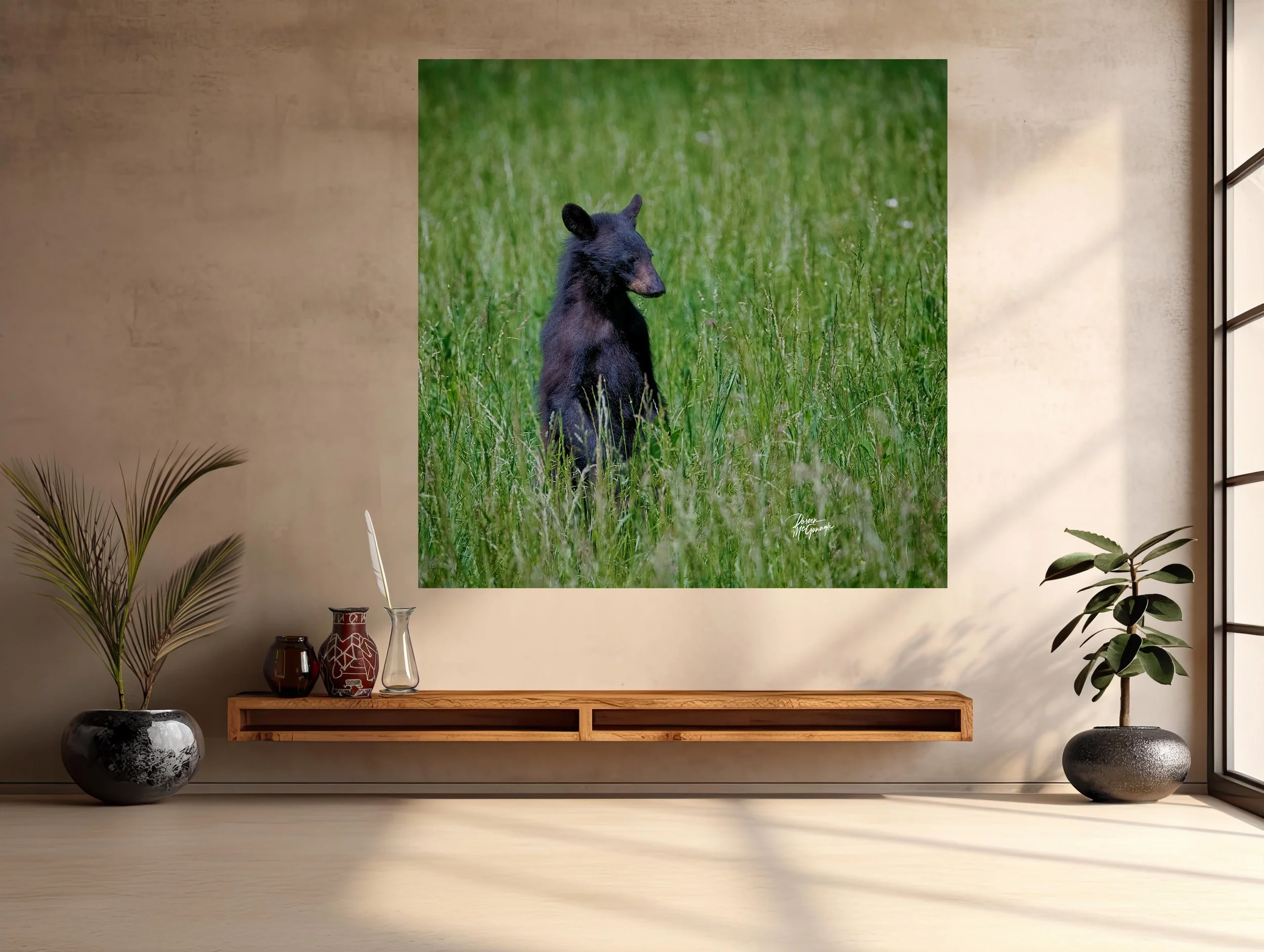 GSMNP_4327_07 c2026 mockup entry.jpg