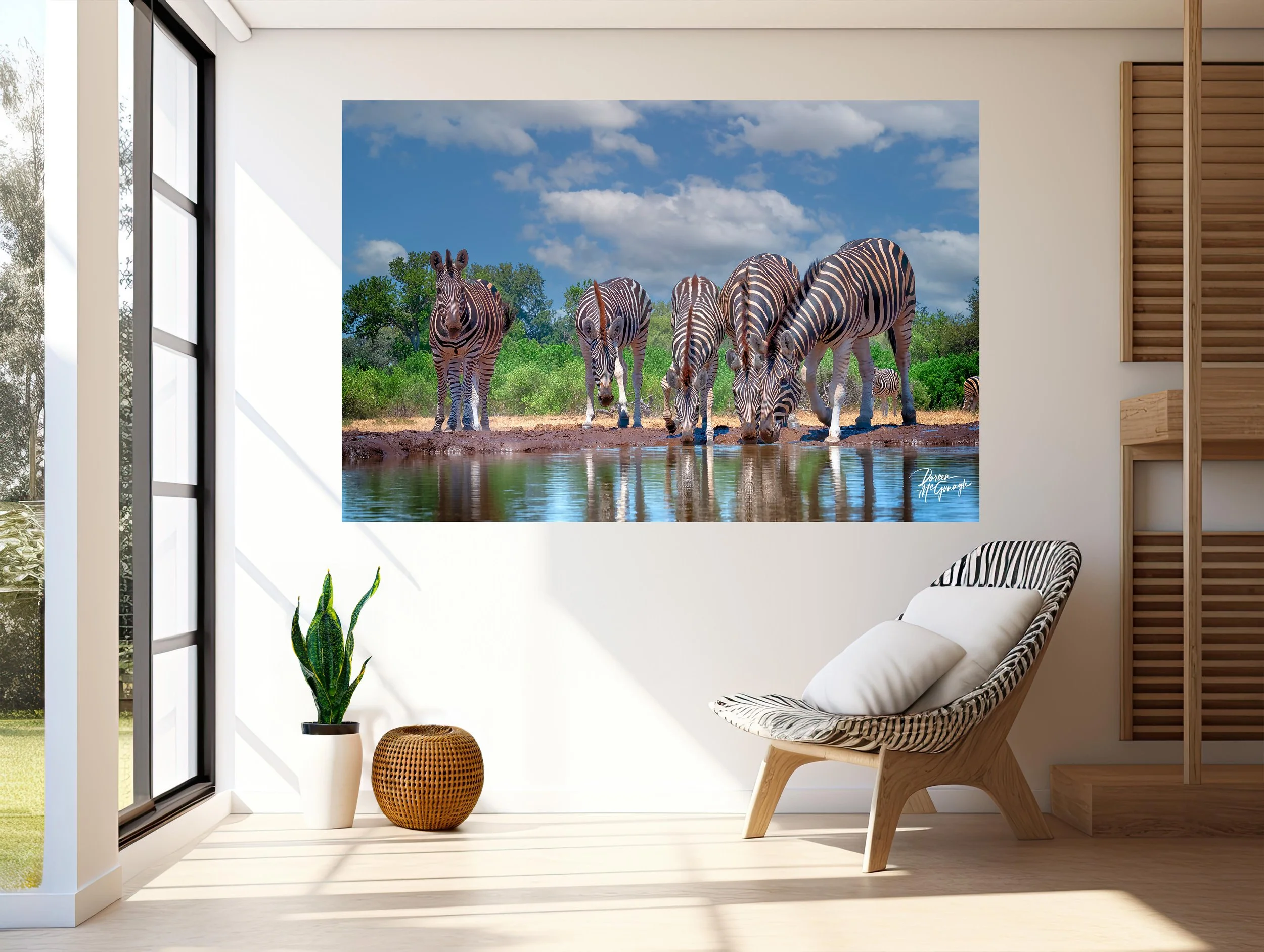 Botswana_3237_202 c2024 mockup entry way.jpg