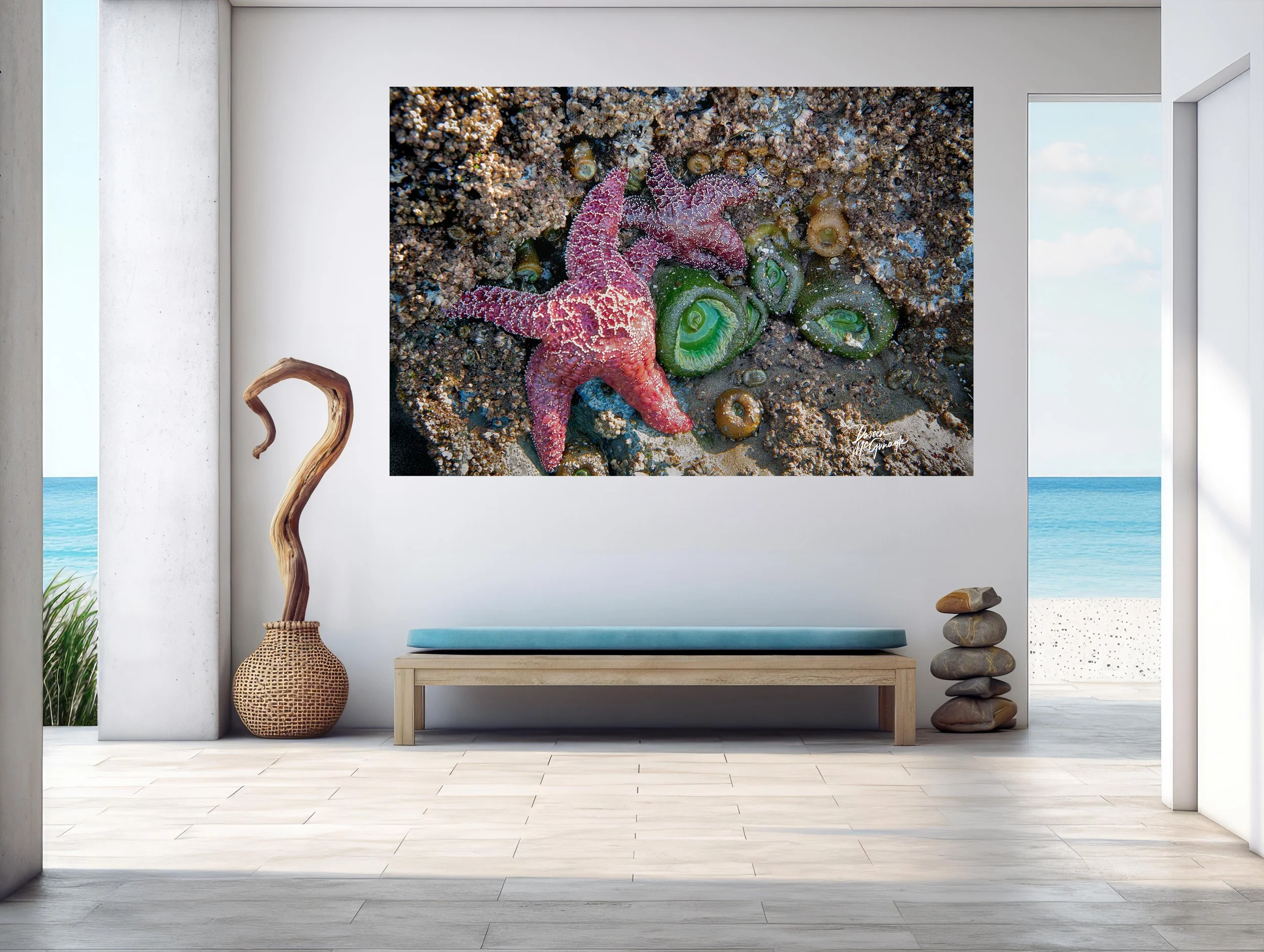 How Fine Art Nature Photography Enhances Modern Interior Design