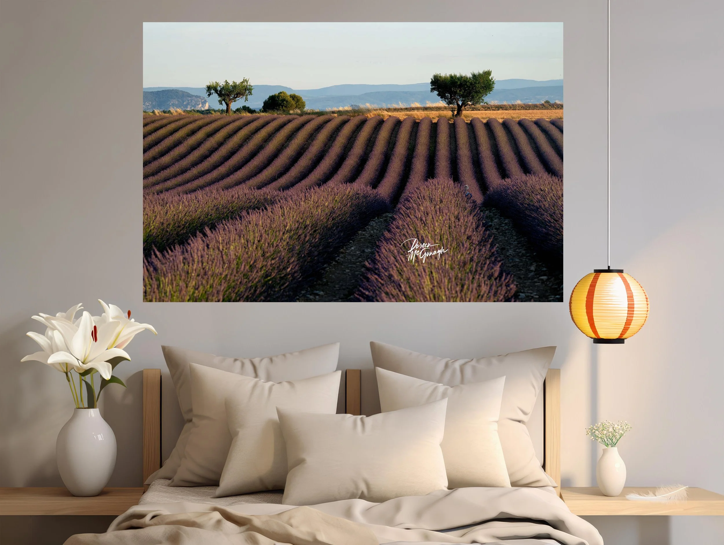 SFP_8256_36 c2026 mockup bedroom.jpg