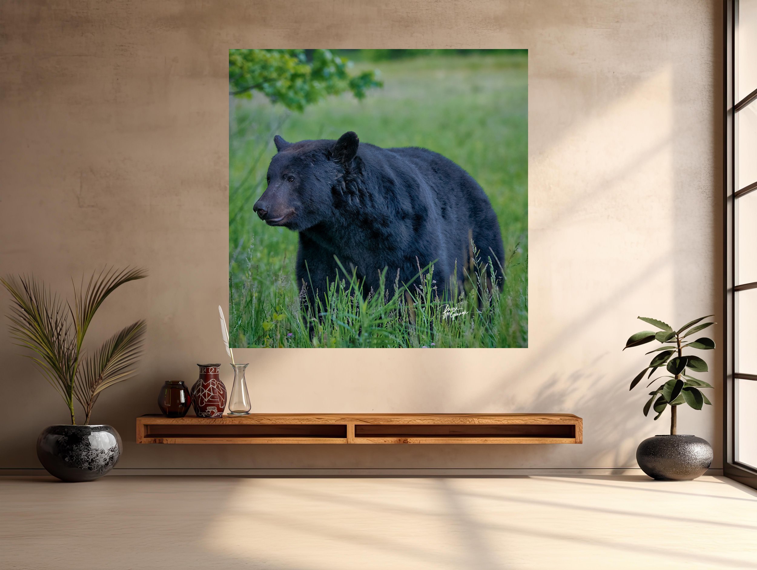 GSMNP_4179_05 c2026 mockup entry.jpg