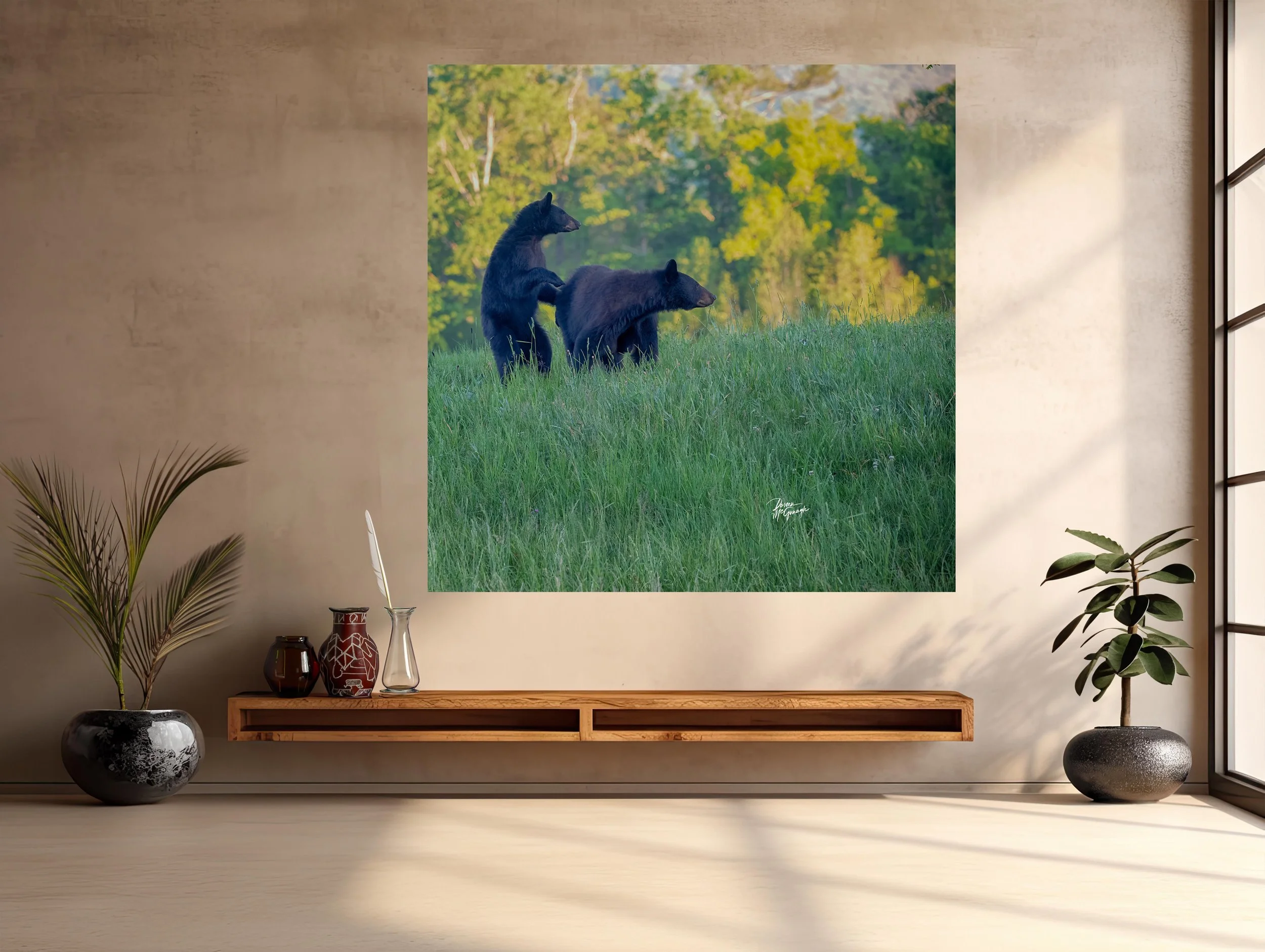 GSMNP_4223_06  c2026 mockup entry.jpg