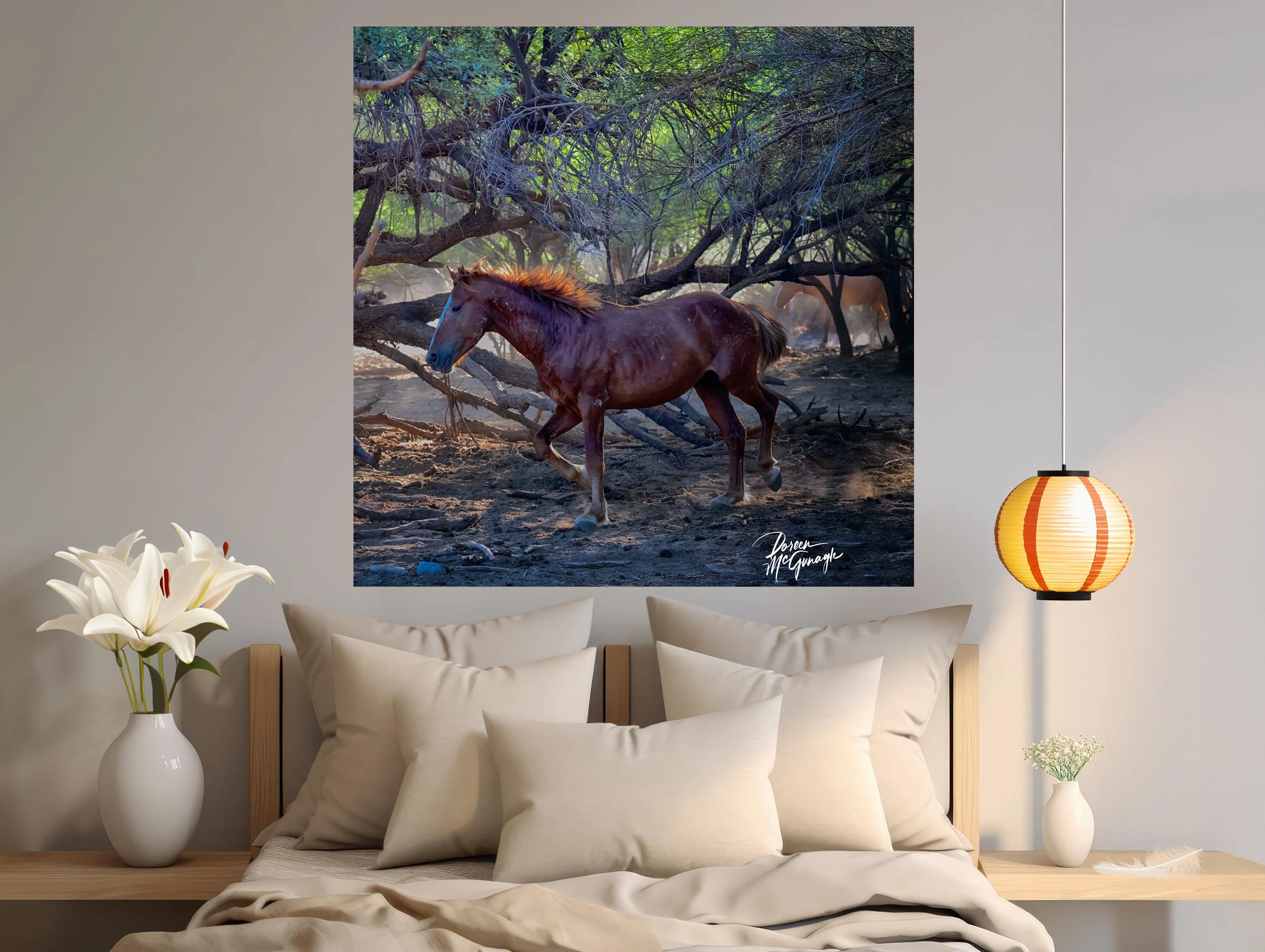 Salt River Wild Horses: Wild Freedom in the Arizona Desert