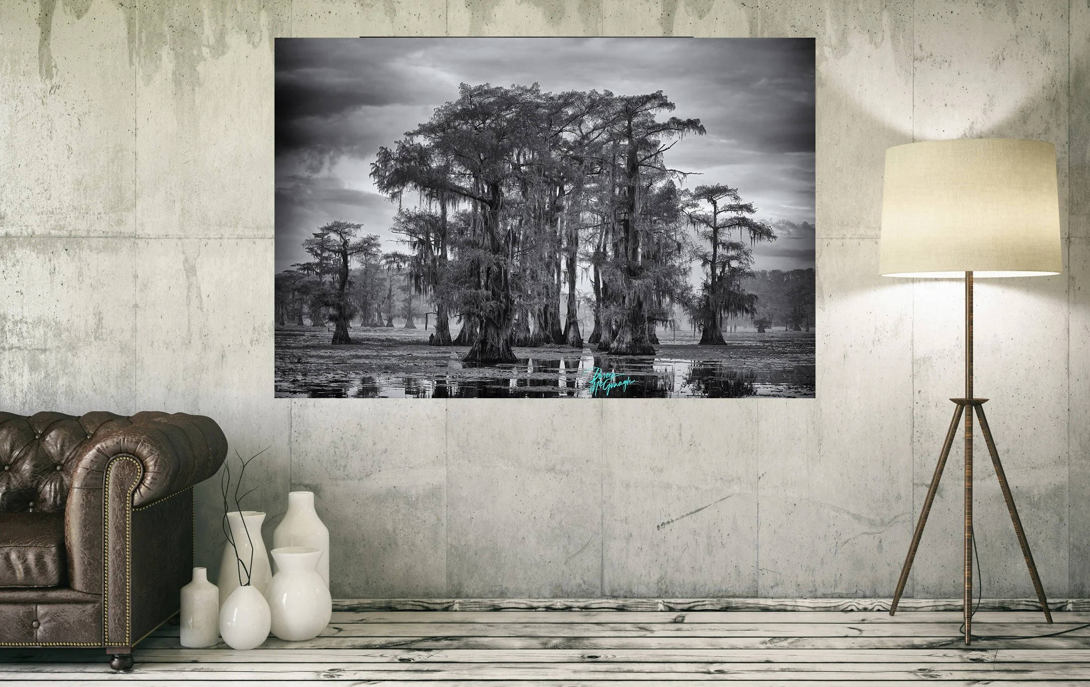 Caddo Lake State Park: Reflections of Stillness and Mystery
