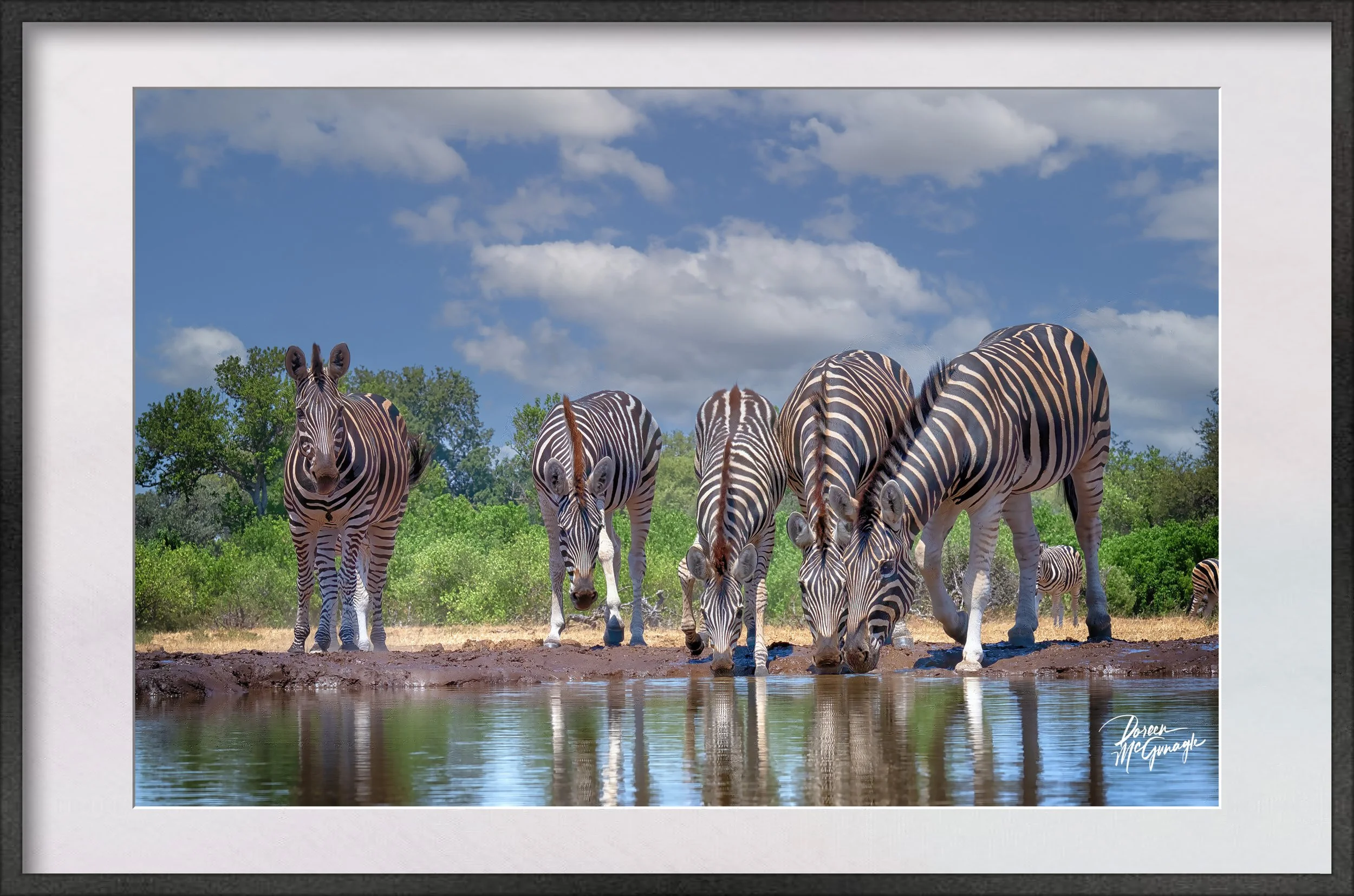 Botswana_3237_202 c2024 frame mockup.jpg
