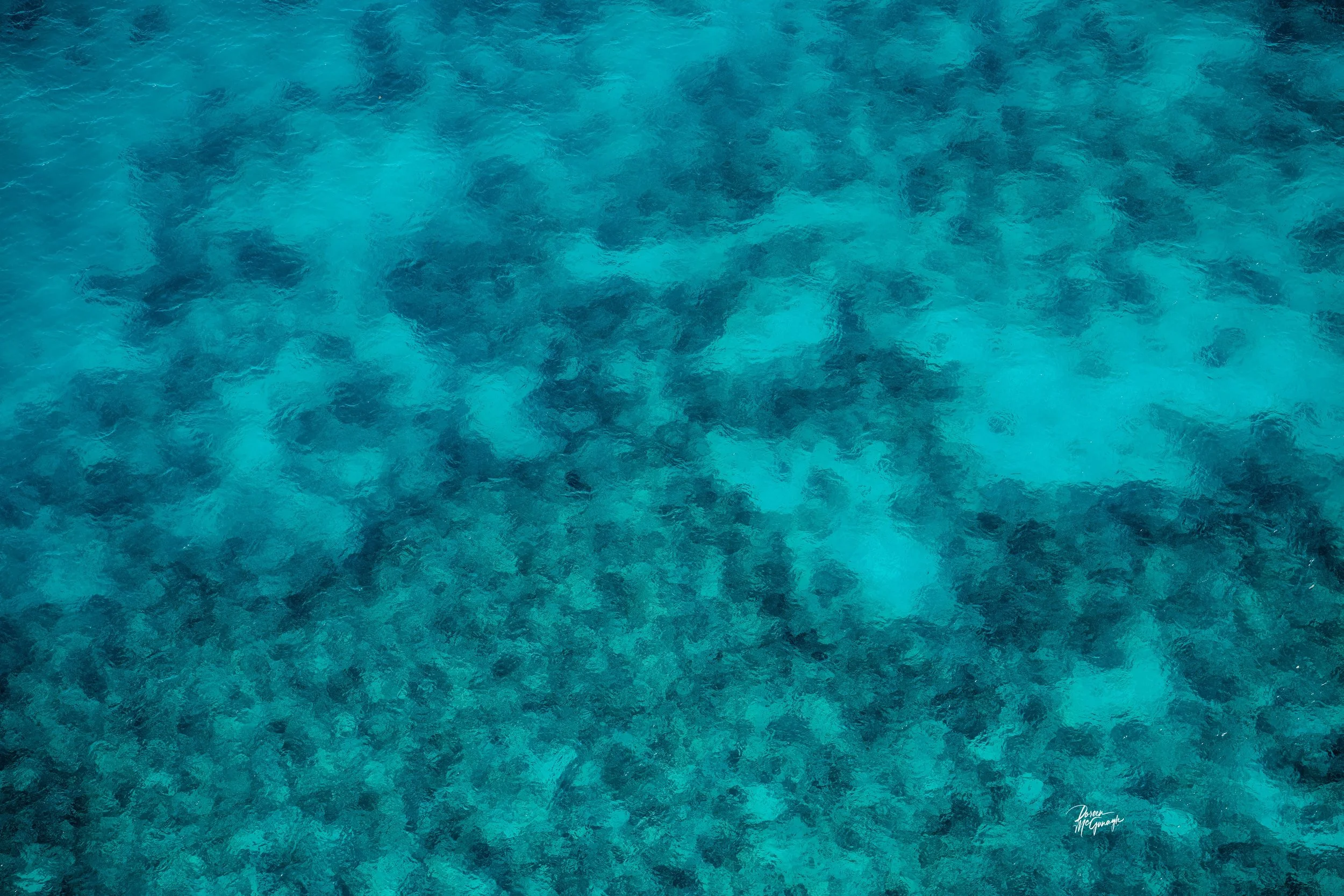 LKFL_2529_33 c2026.jpg