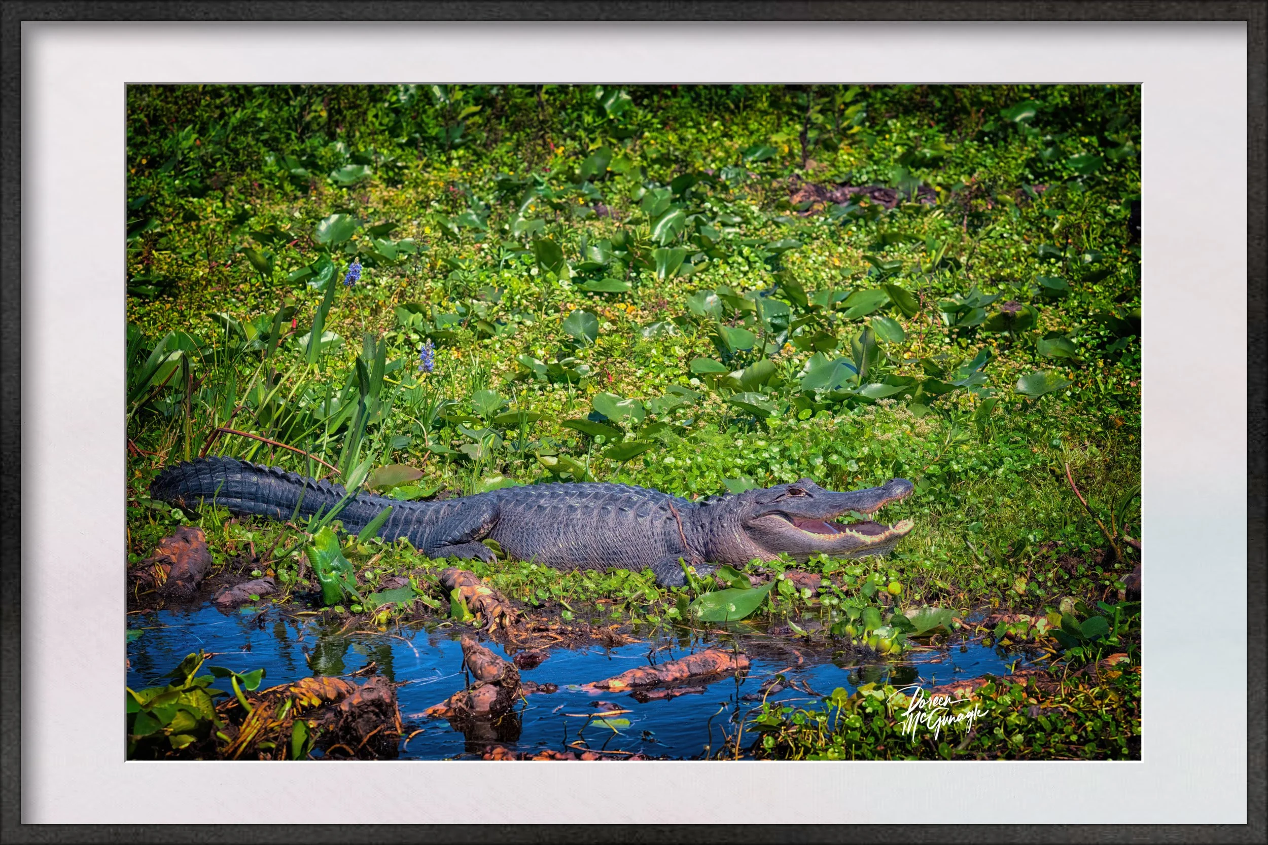 RR_7358_25 c2025 framed.jpg