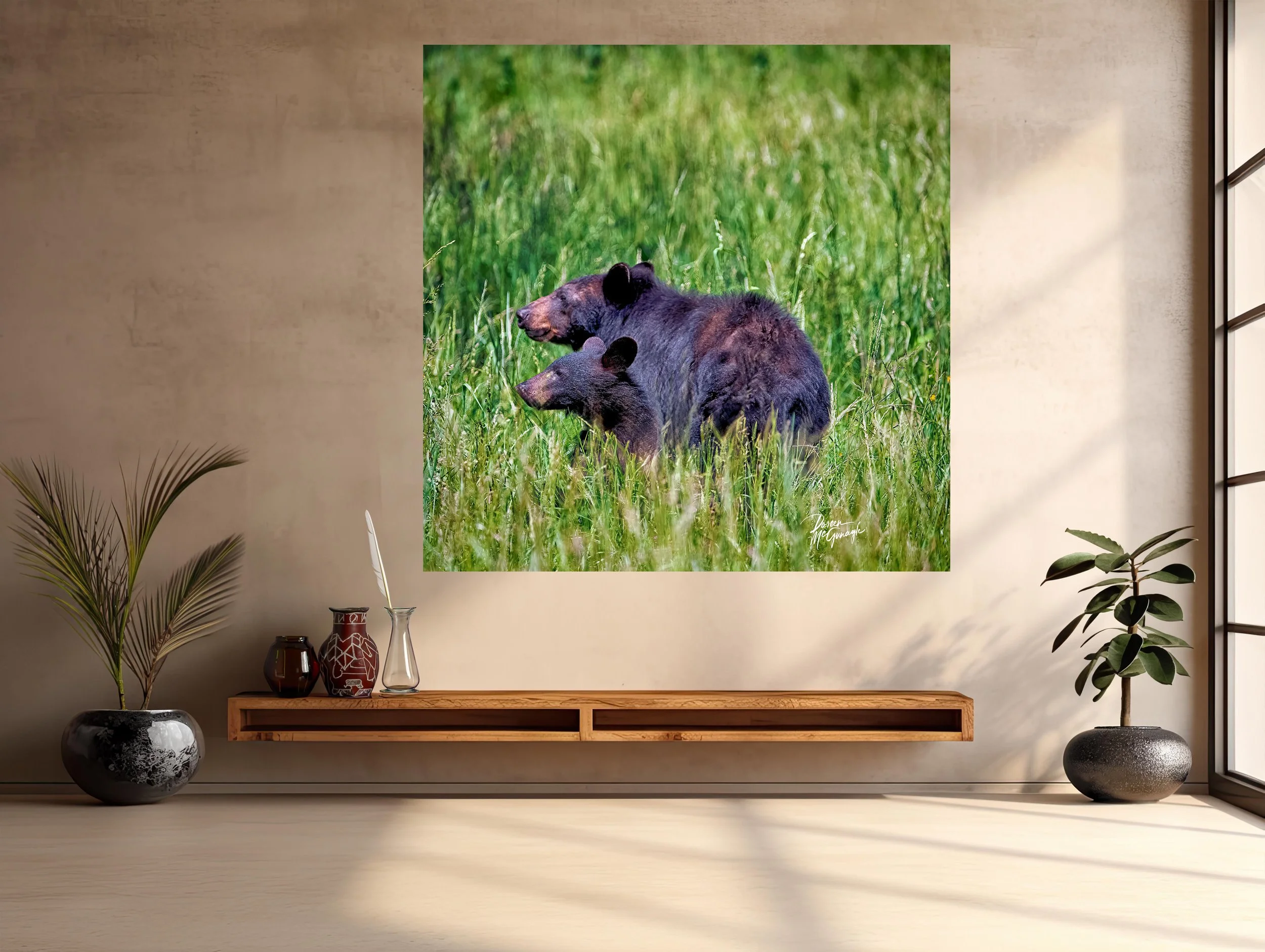 GSMNP_4332_08 c2026 mockup entry.jpg