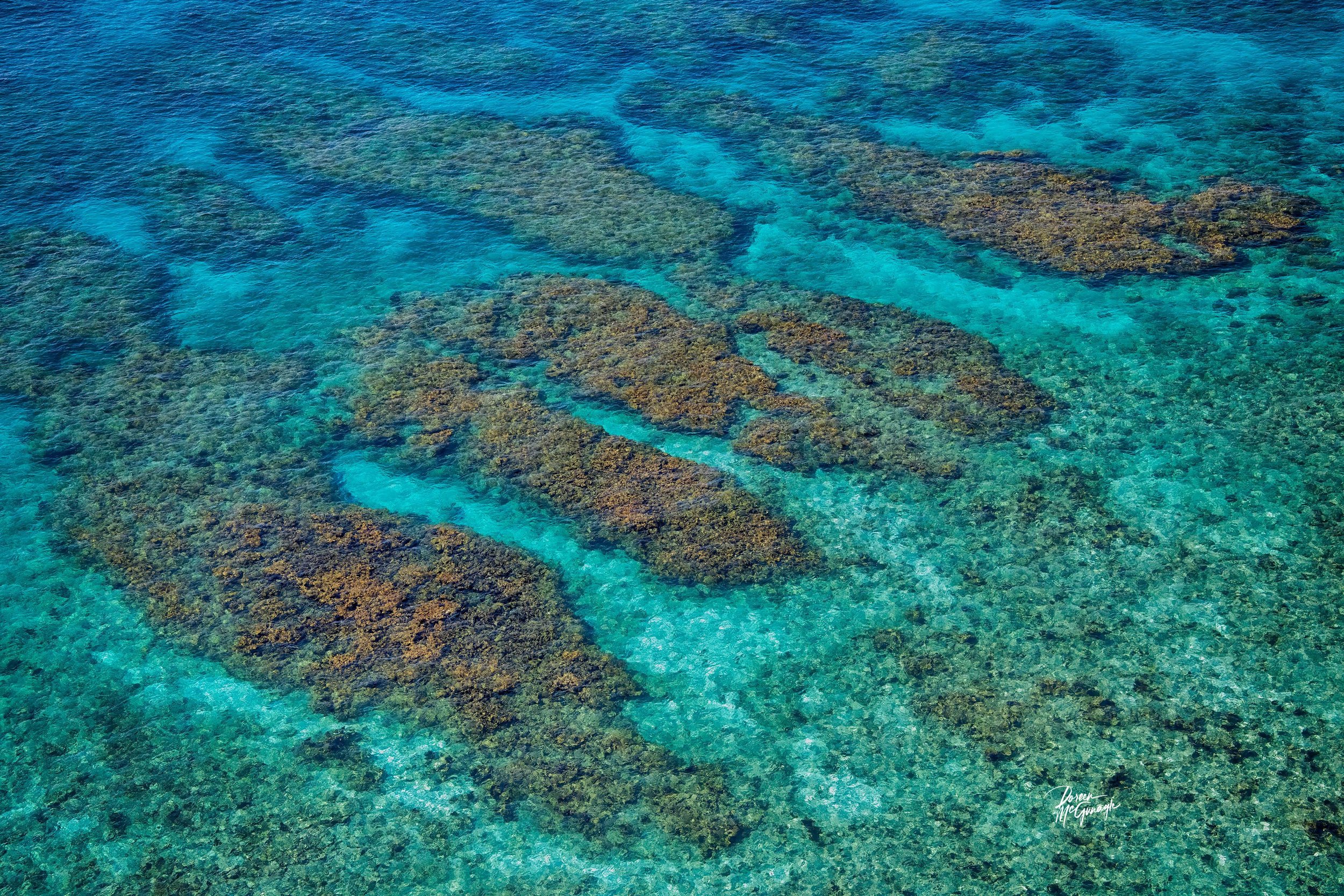 Mosaic Currents of Looe Key — Limited Edition Fine Art Nature Photography