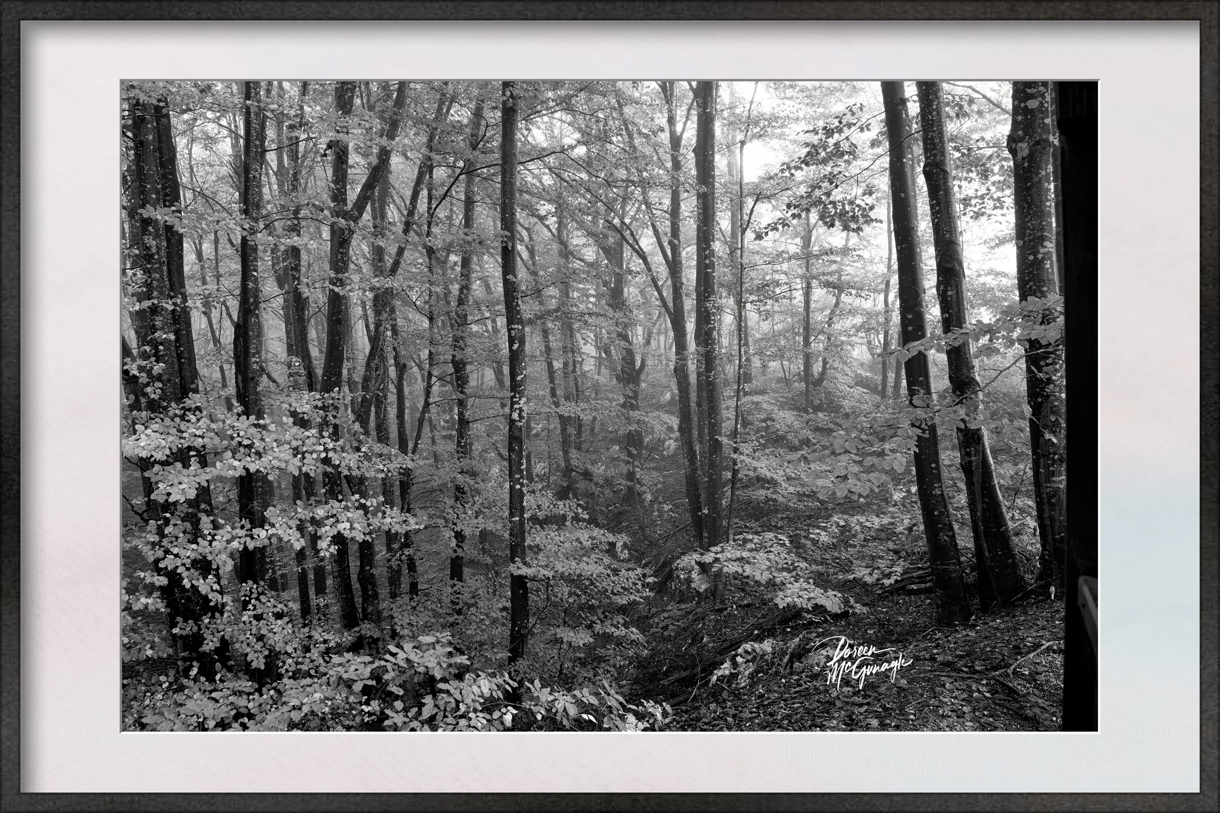 Croatia_0915_40BW c2024 framed.jpg