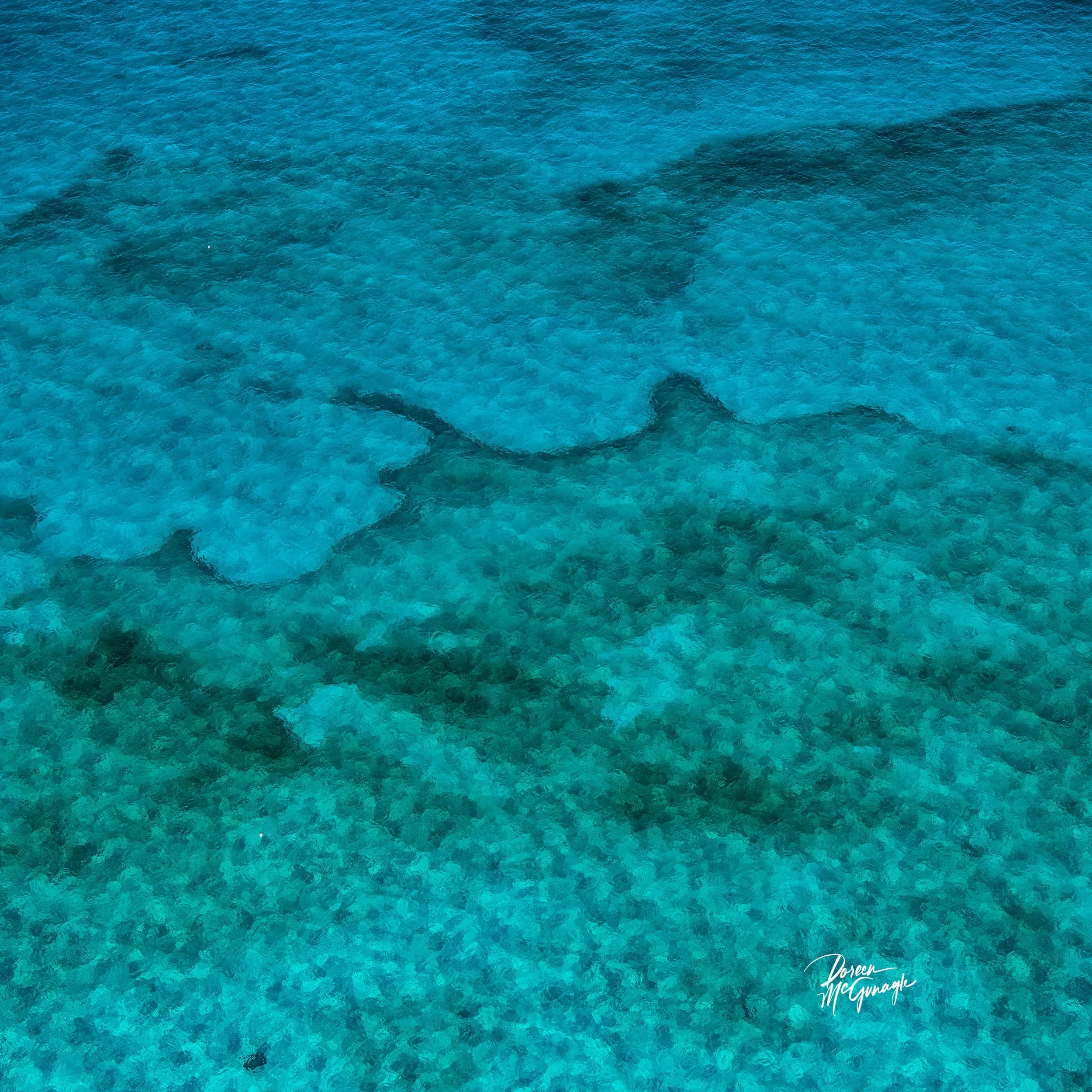 Silent Currents of the Turquoise Veil — Limited Edition Fine Art Nature Photography