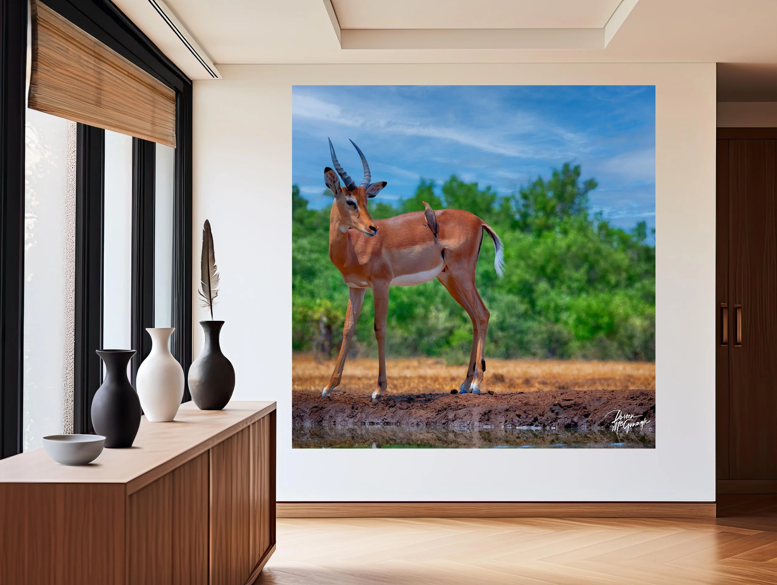 Botswana_0641_119 c2024 mockup entry.jpg