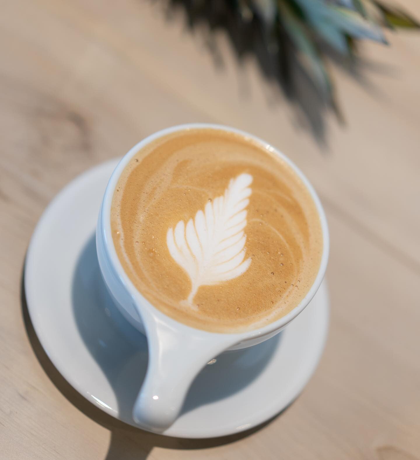 We are known for our healthy and delicious bowls and smoothies, but we make a pretty mean cup of coffee too! ☕️ If you&rsquo;re tired of the usual grind, stop by and try some of the freshest coffee in Palmer, brought to you by @blackcupcdm
.
.
.
.
.
