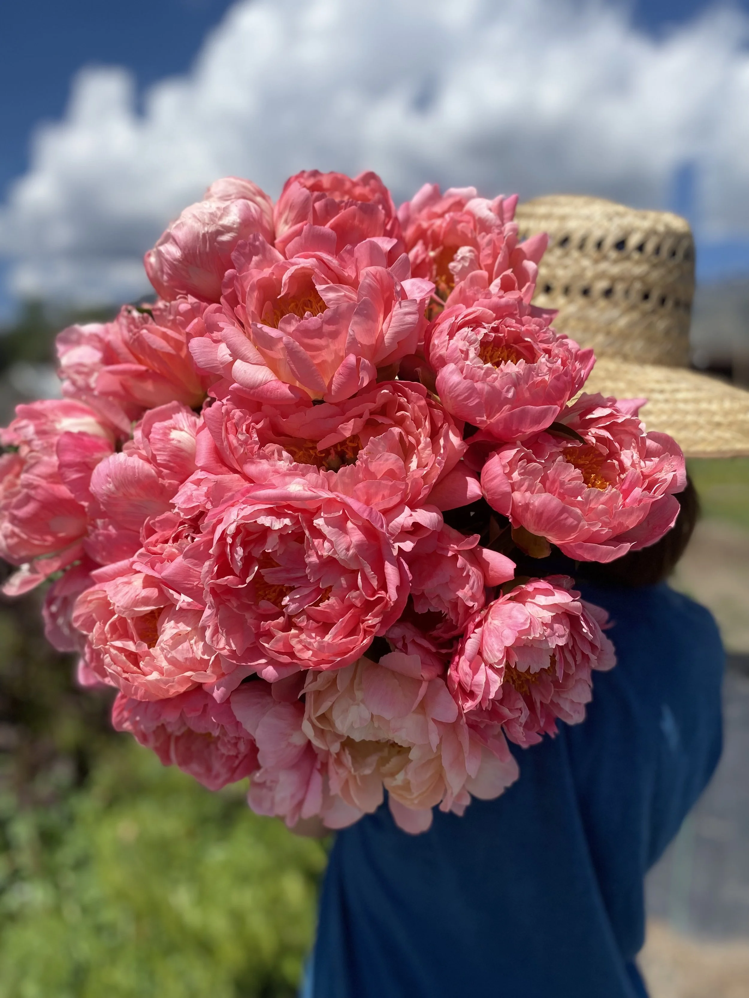 2 - WEEK PEONY BUNDLE SHARE