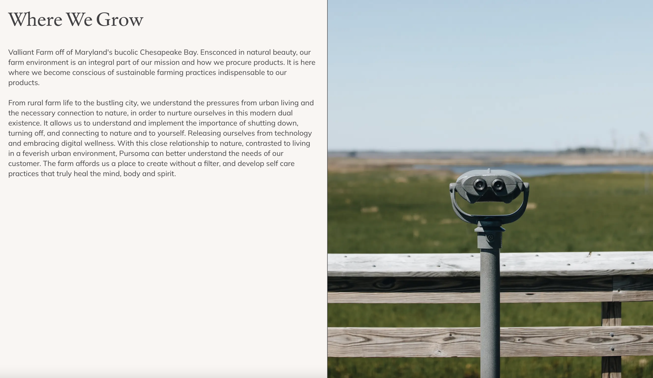 Screen Shot 2021-11-03 at 5.40.05 PM.png